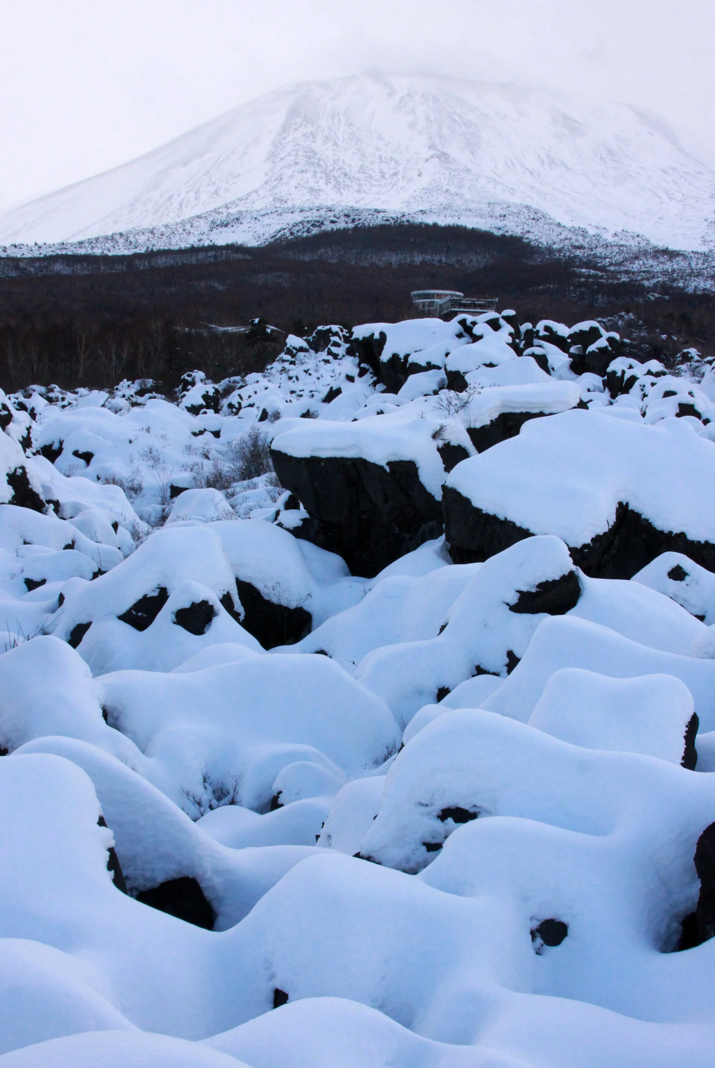 MOUNT ASAMA - JOSHIN'ETSUKOGEN NATIONAL PARK JAPAN (82).JPG