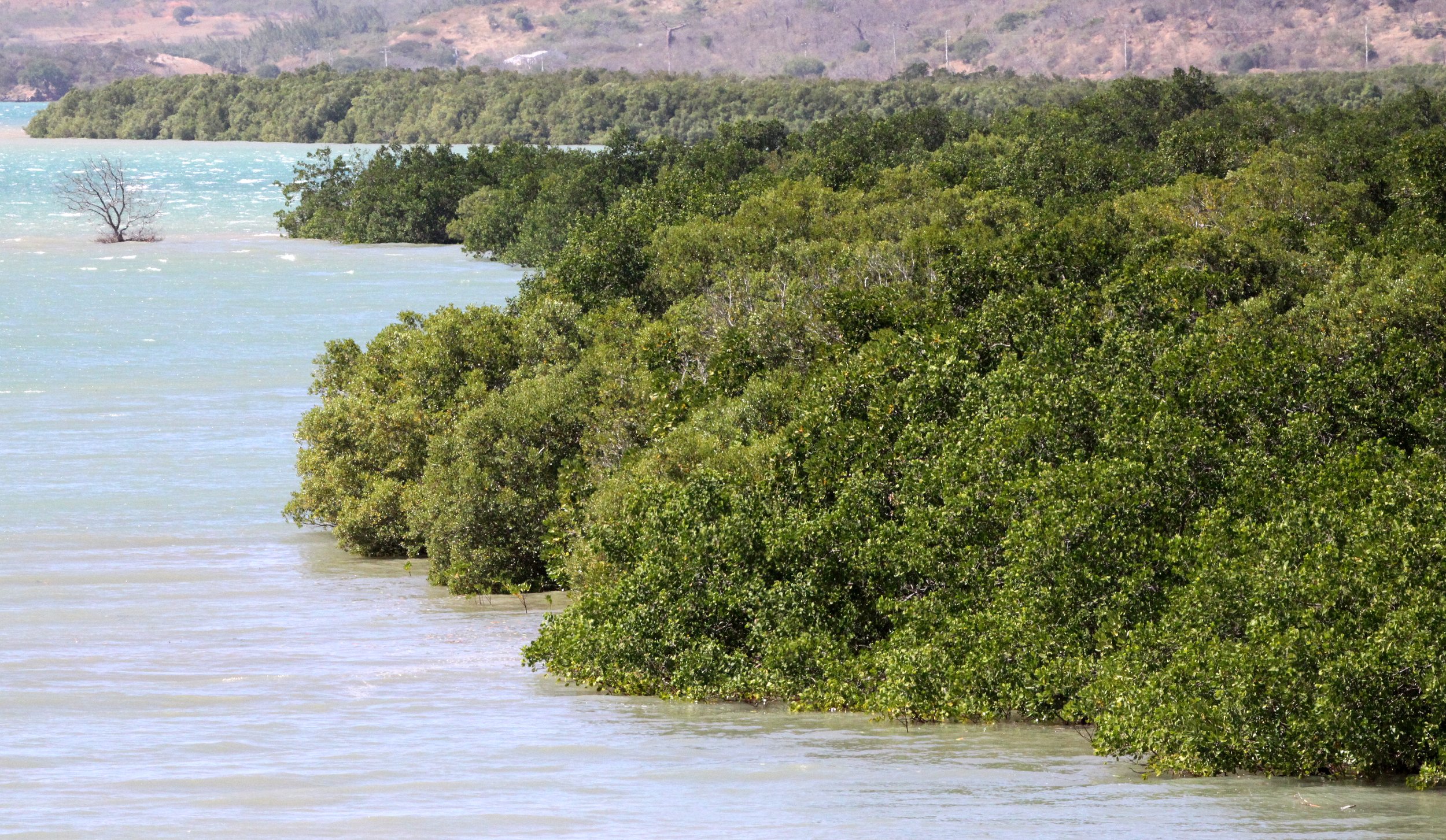 DIEGO SUAREZ MADAGASCAR - MANGROVE COMMUNITY (2).JPG