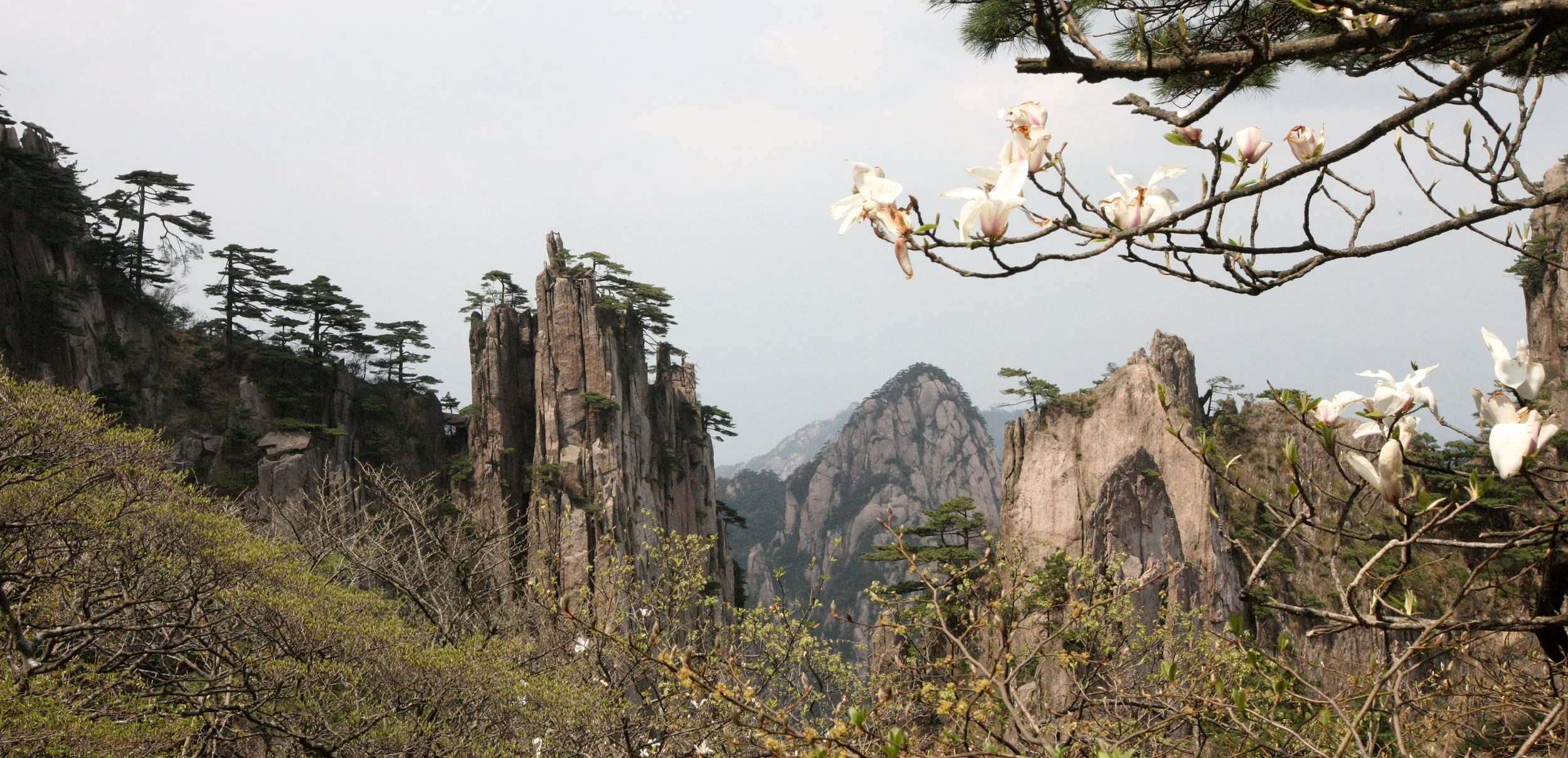 HUANGSHAN NATIONAL PARK ANHUI PROVINCE CHINA (58).JPG