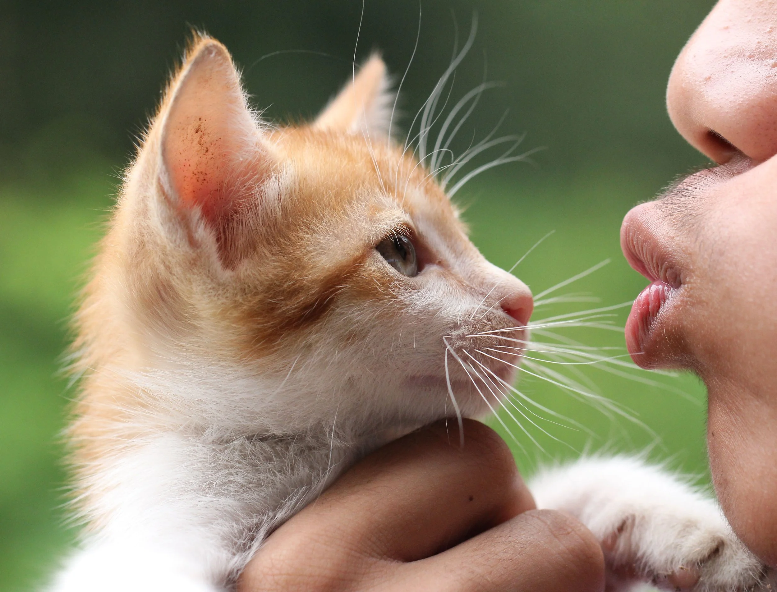 2015 Koh Lanta October Break Trip  (243).JPG