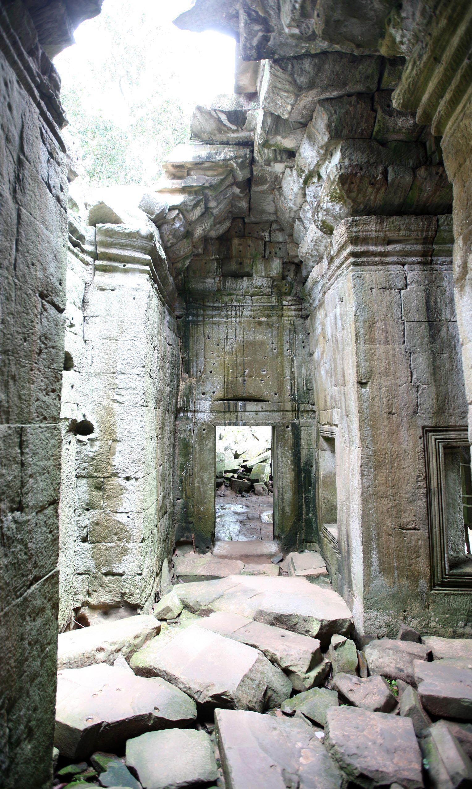 TA PROHM TEMPLE CAMBODIA - JULY 2010 (4).JPG
