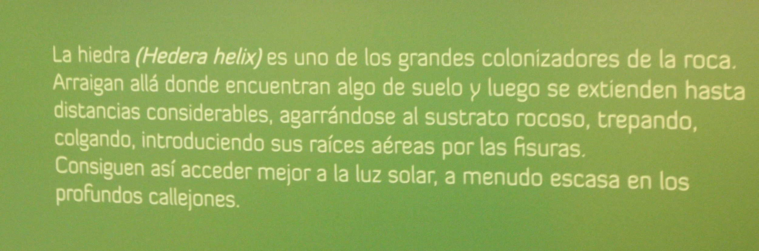 EL TORCAL SPAIN (33).JPG