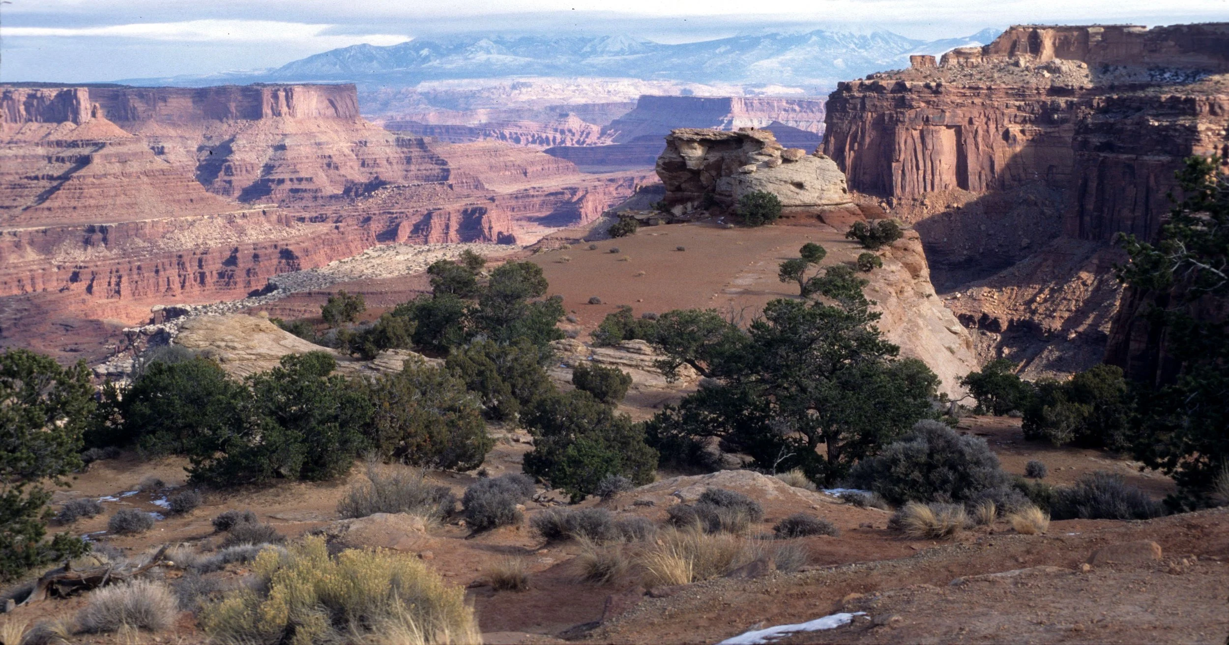 UTAH - CANYONLANDS NP N.jpg