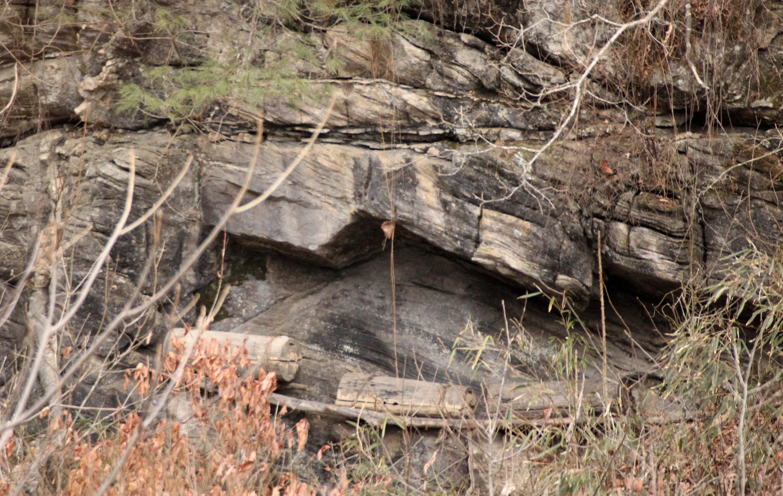 FOPING NATURE RESERVE - SHAANXI PROVINCE CHINA (125).JPG