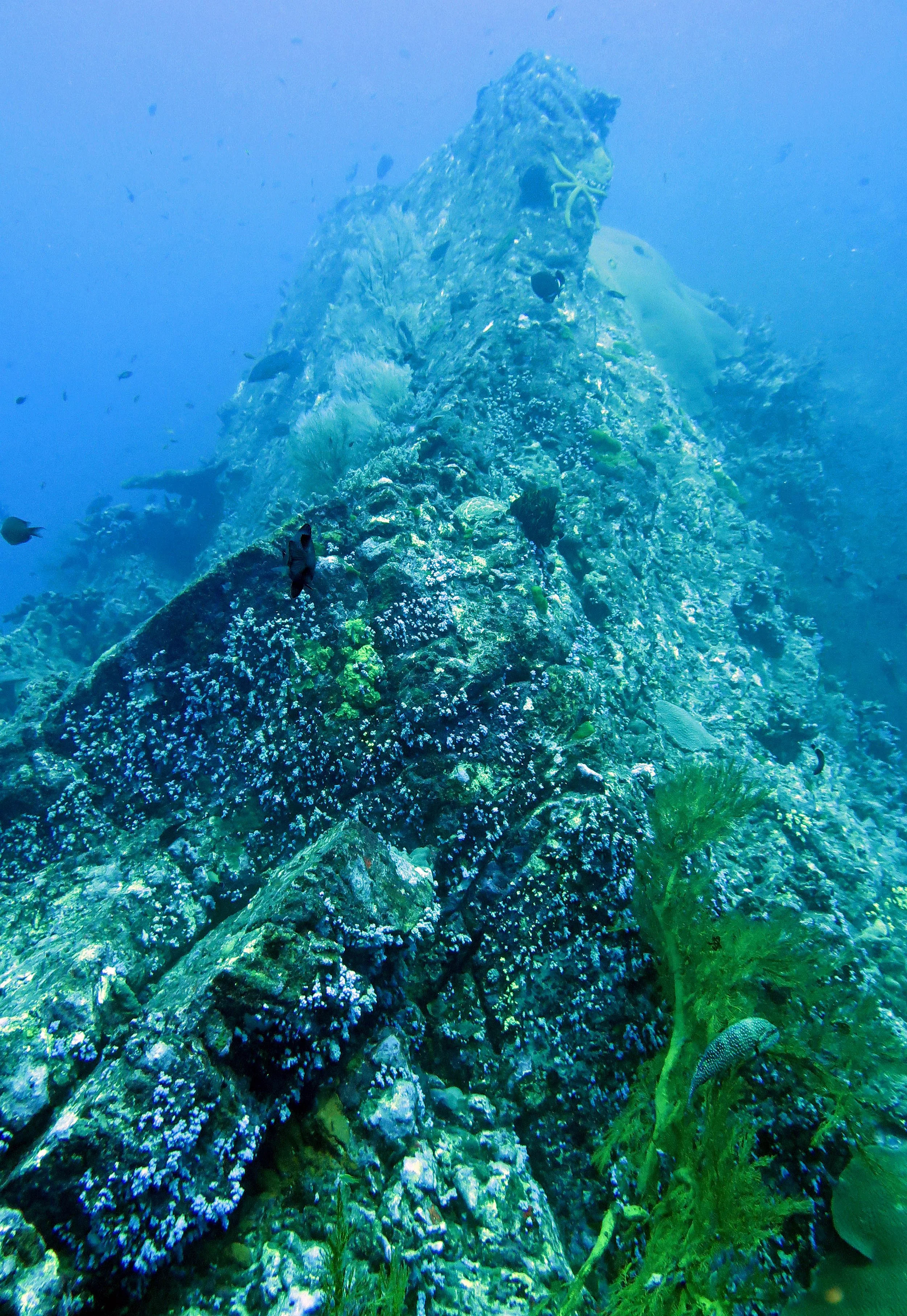 2014 Similan Islands Marine Park Thailand ISB Dive Trip (32).JPG