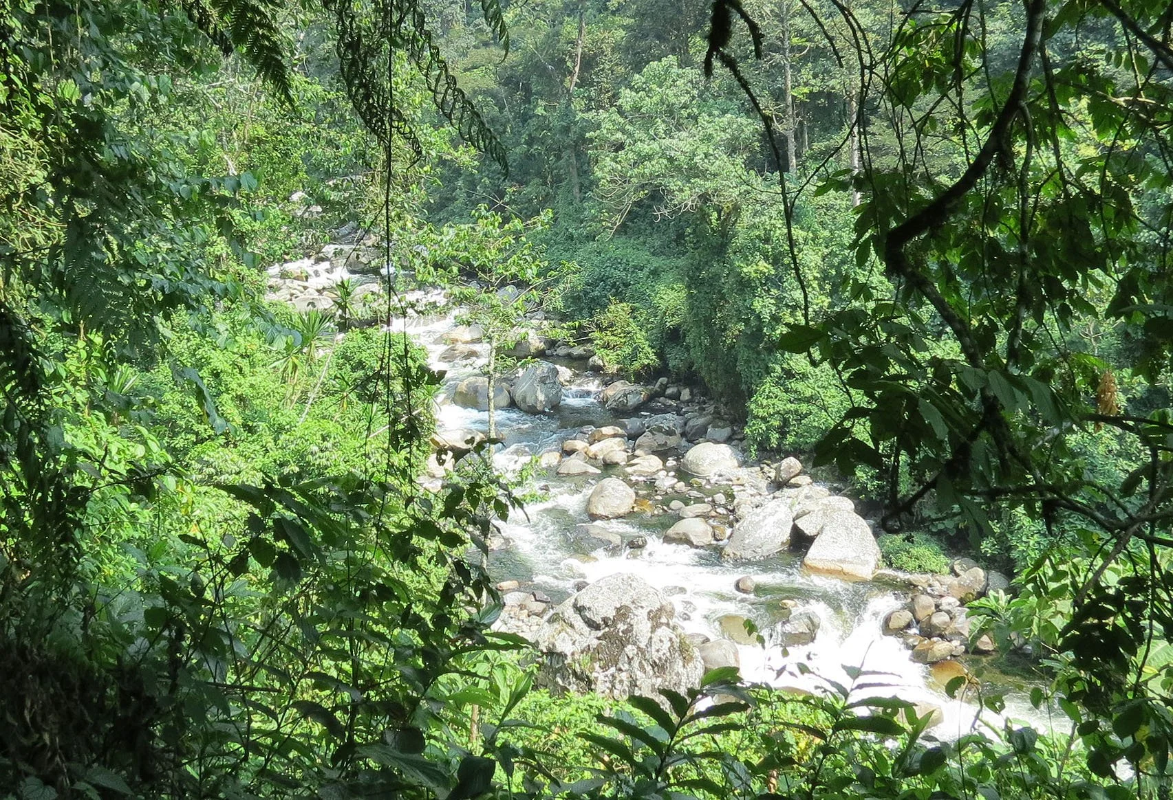 RWENZORI NATIONAL PARK UGANDA (15).JPG