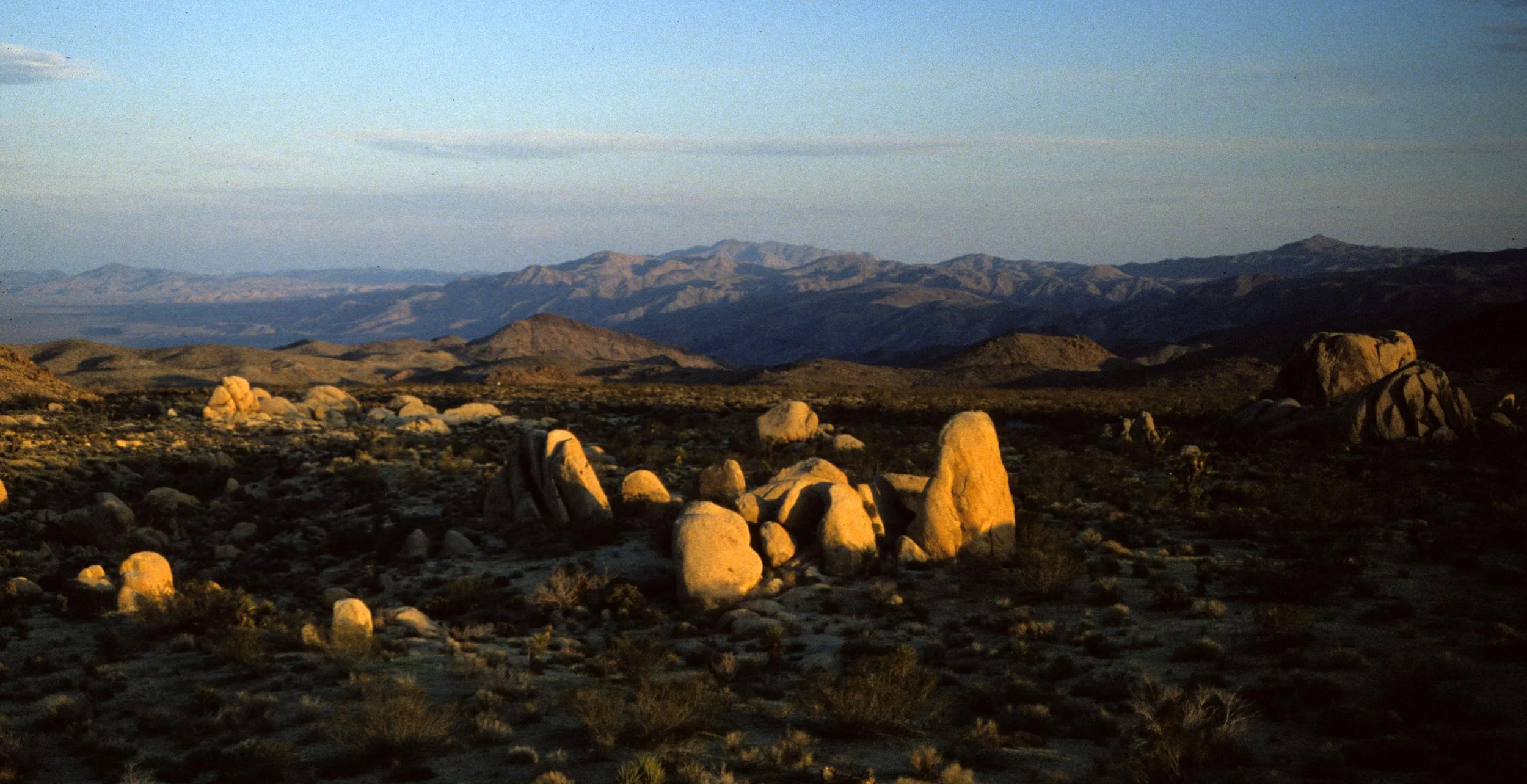 JOSHUA TREE - INSELBERGS C.jpg