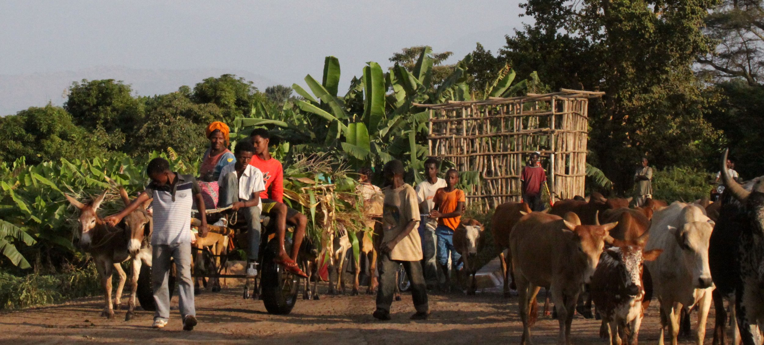 ARBAMINCH ETHIOPIA 2012 (117).JPG