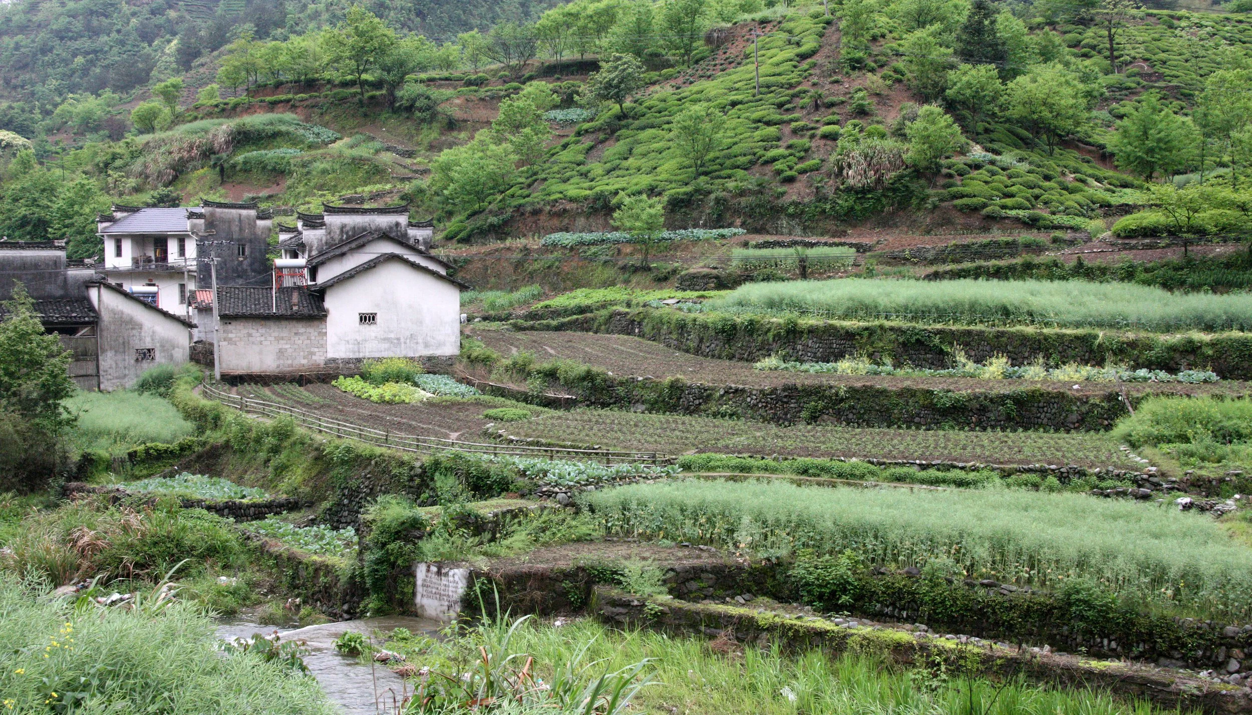 HONGCUN VILLAGE - ANHUI PROVINCE CHINA (6).JPG