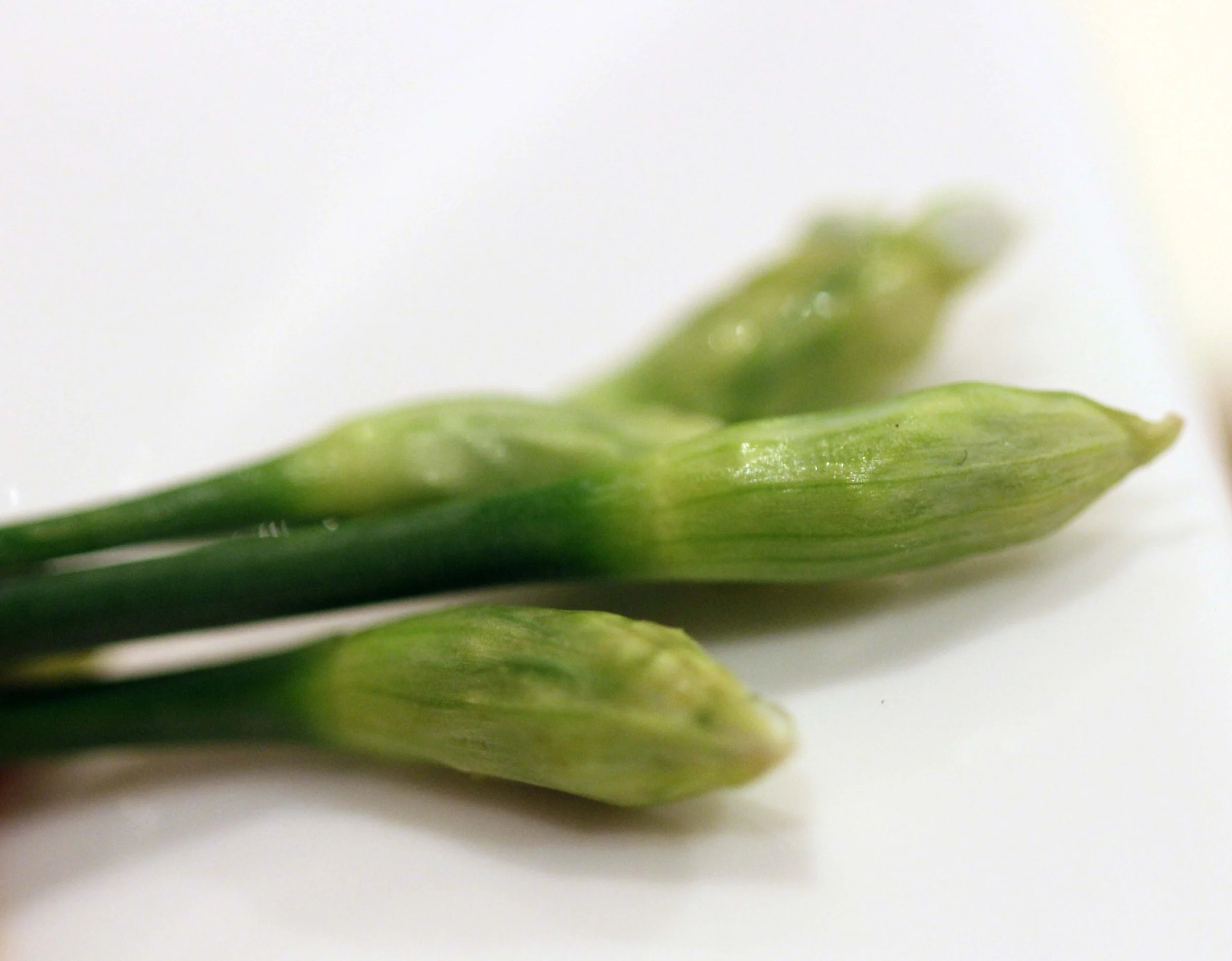 2013 - BANGKOK OCTOBER 2013 (35).JPG