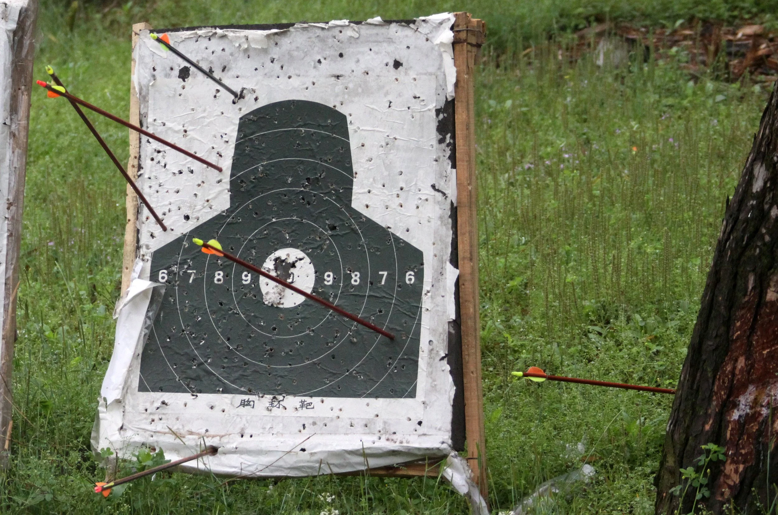 CHINESE ALLIGATOR BREEDING CENTER - XUANCHENG CHINA (16).JPG