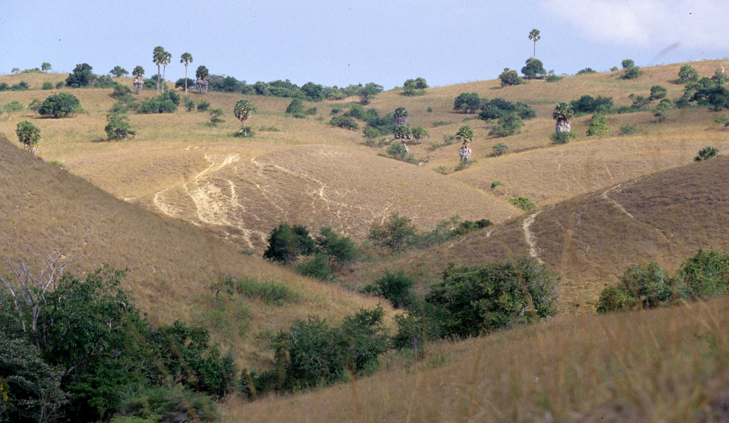 KOMODO - RINJA AND KOMODO ISLAND VIEWS.jpg
