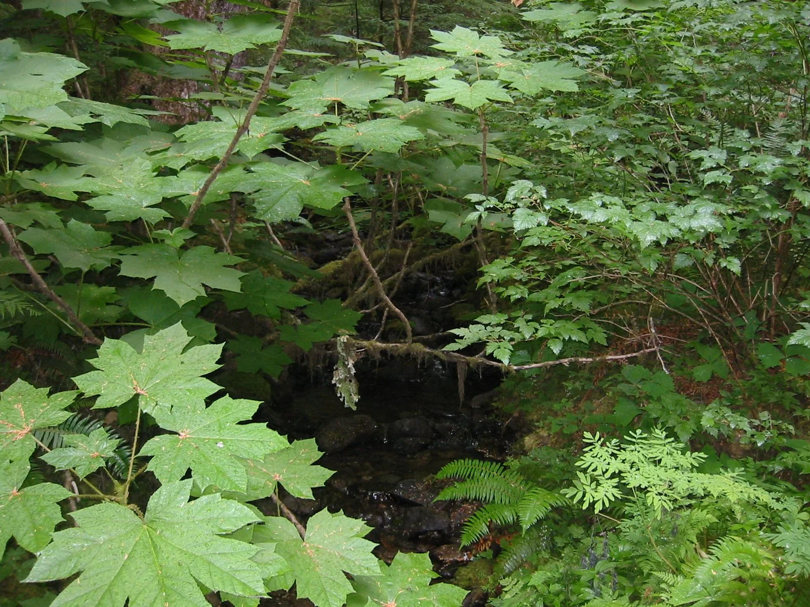 2003-8-3 WASHINGTON VISIT WITH THE ROBINSONS (82).JPG