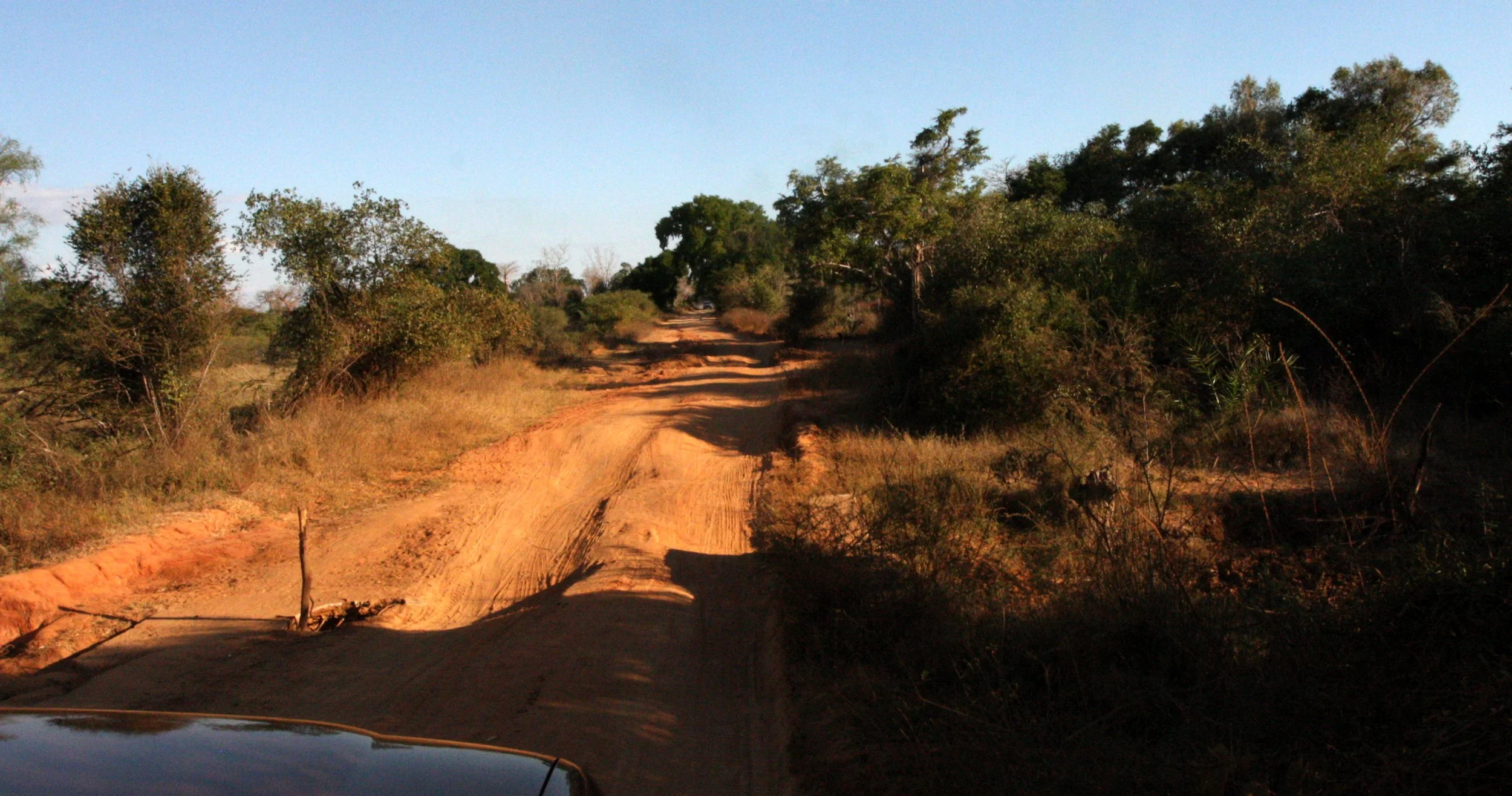 KIRINDY NATIONAL PARK MADAGASCAR - ROAD HELL.JPG