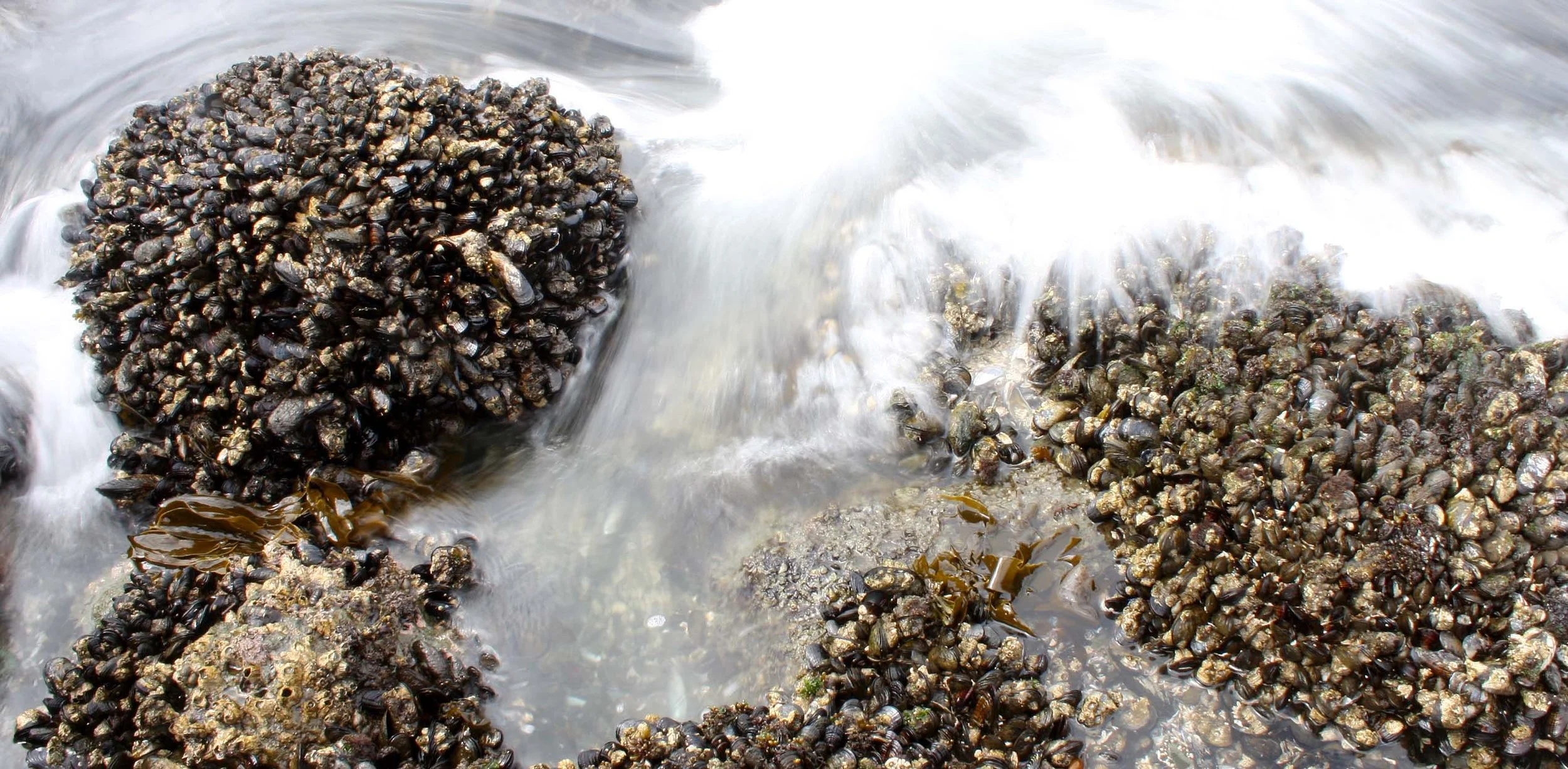 SALT CREEK - SPLASH ZONE (2).JPG