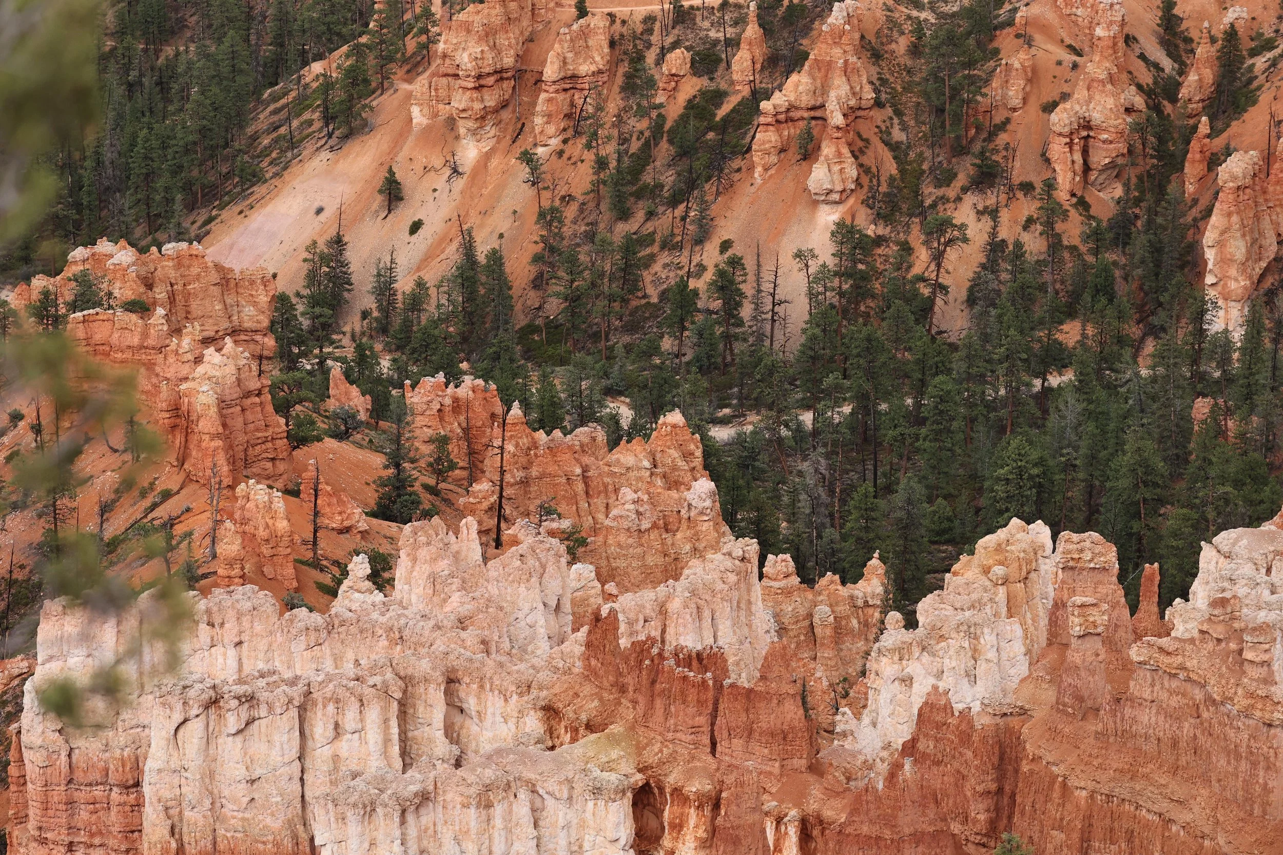 BRYCE CANYON UTAH 2022 (49).JPG