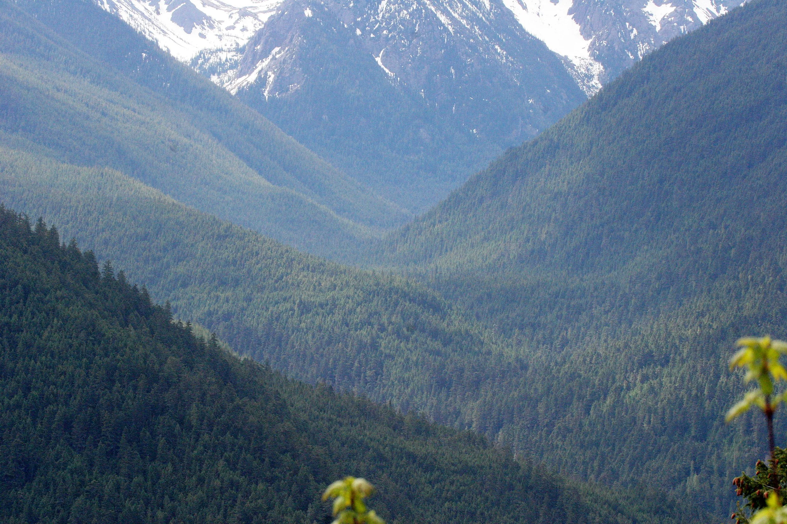 DUNGENESS RIVER WATERSHED - DUNGENESS TRAIL AND VIEWPOINTS (3).JPG