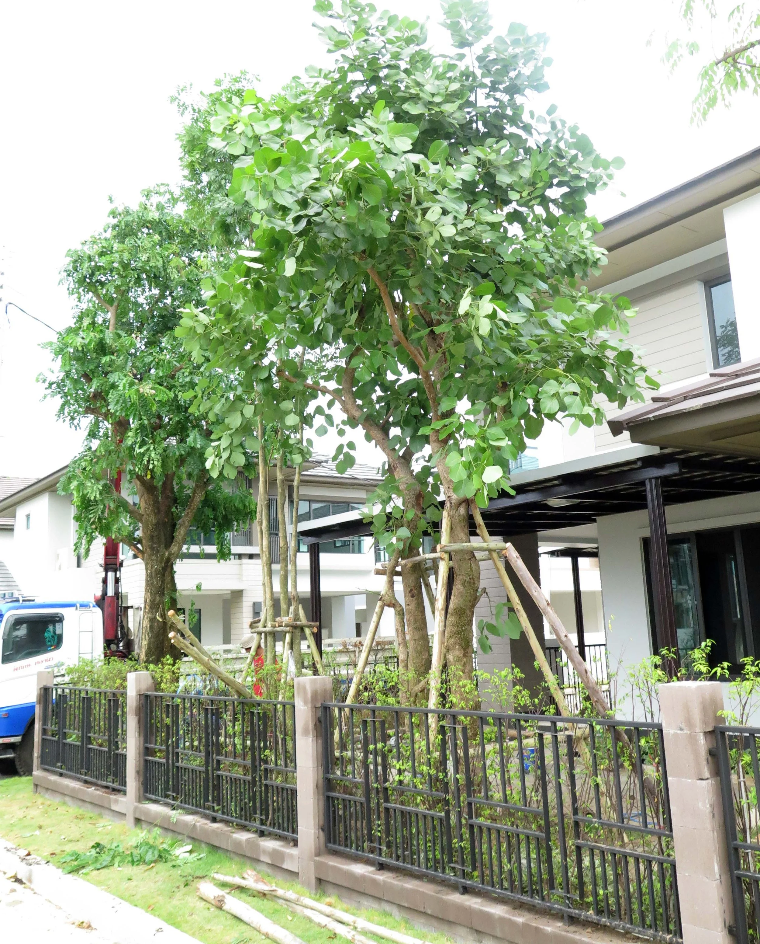 2013 Nonthaburi Setthasiri House and Nonthaburi Neighborhood (44).JPG