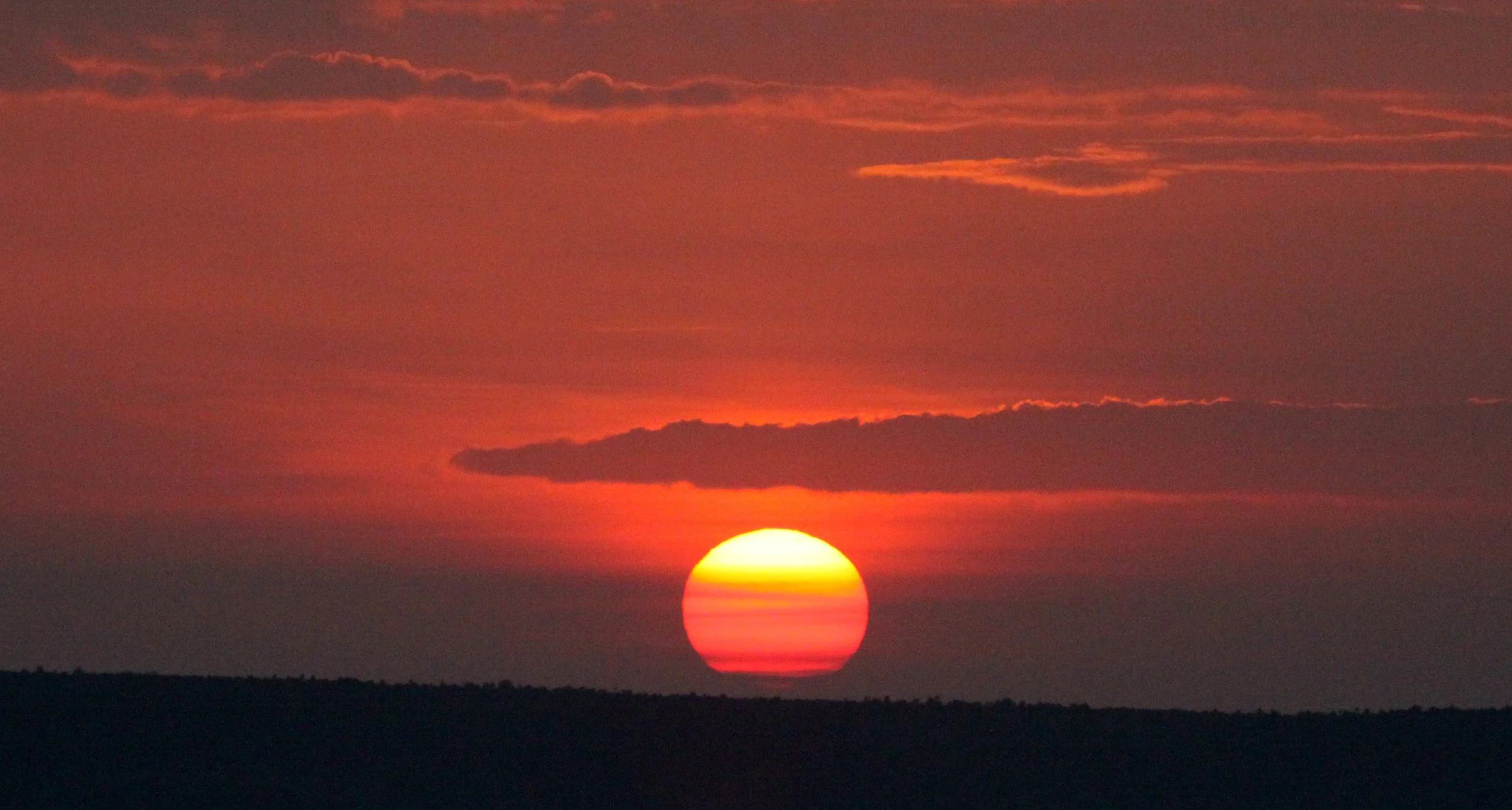 MASAI MARA NATIONAL PARK KENYA (192).JPG