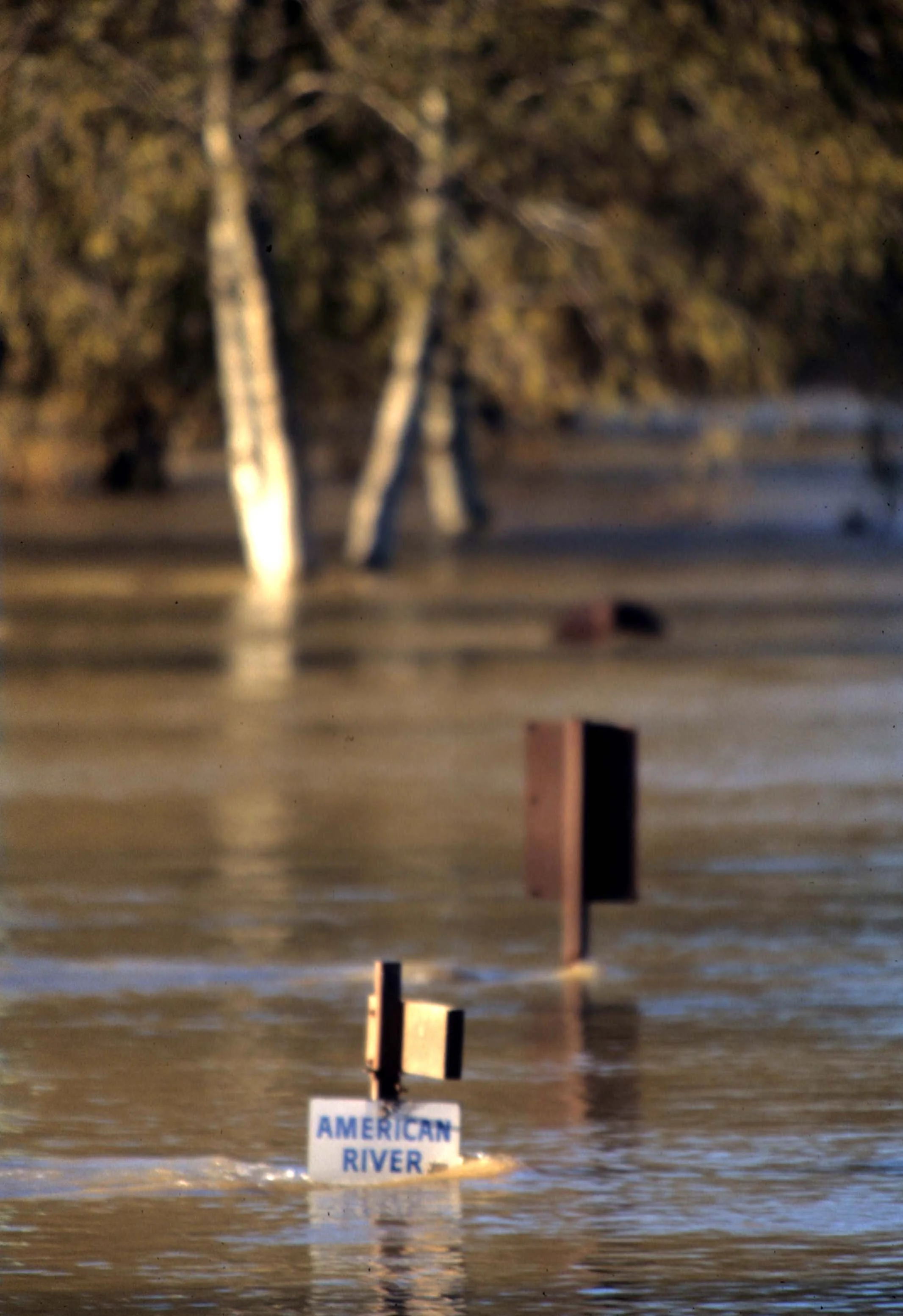 CALIFORNIA - SACRAMENTO FLOODS A.jpg