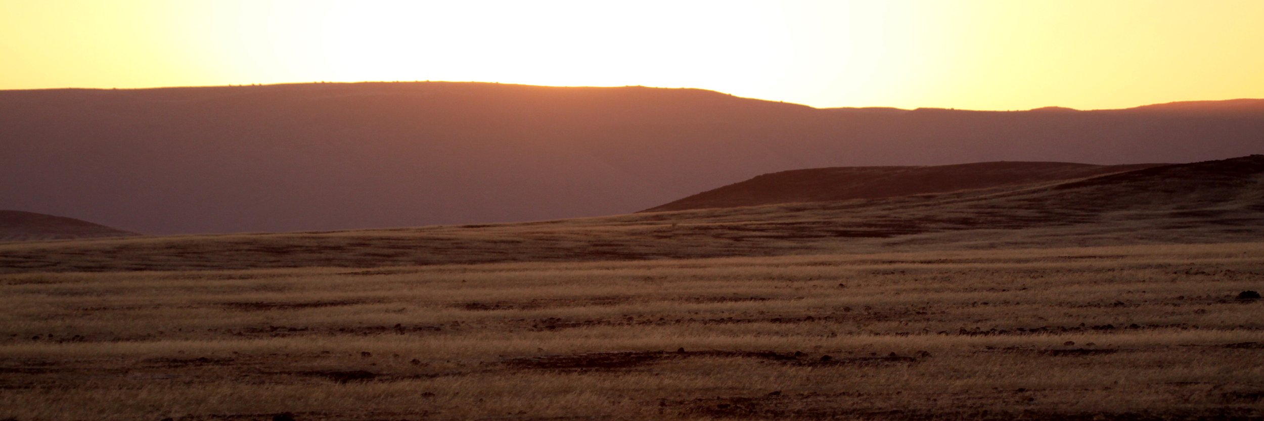 NAMIBIA - SKELETON COAST NATIONAL PARK - EAST ENTRANCE (14).JPG