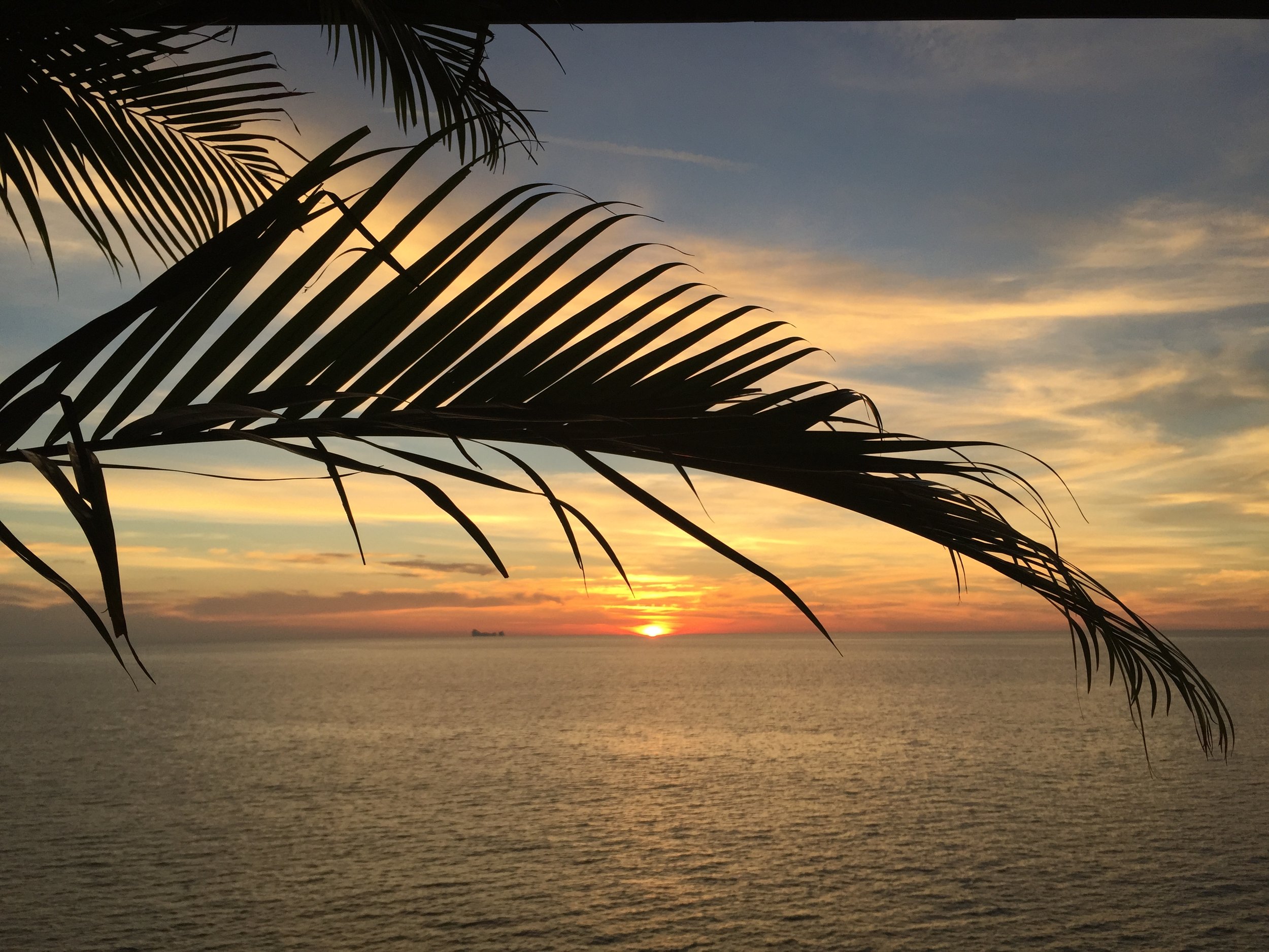 2015 Koh Lanta Garden & Nature (255).JPG