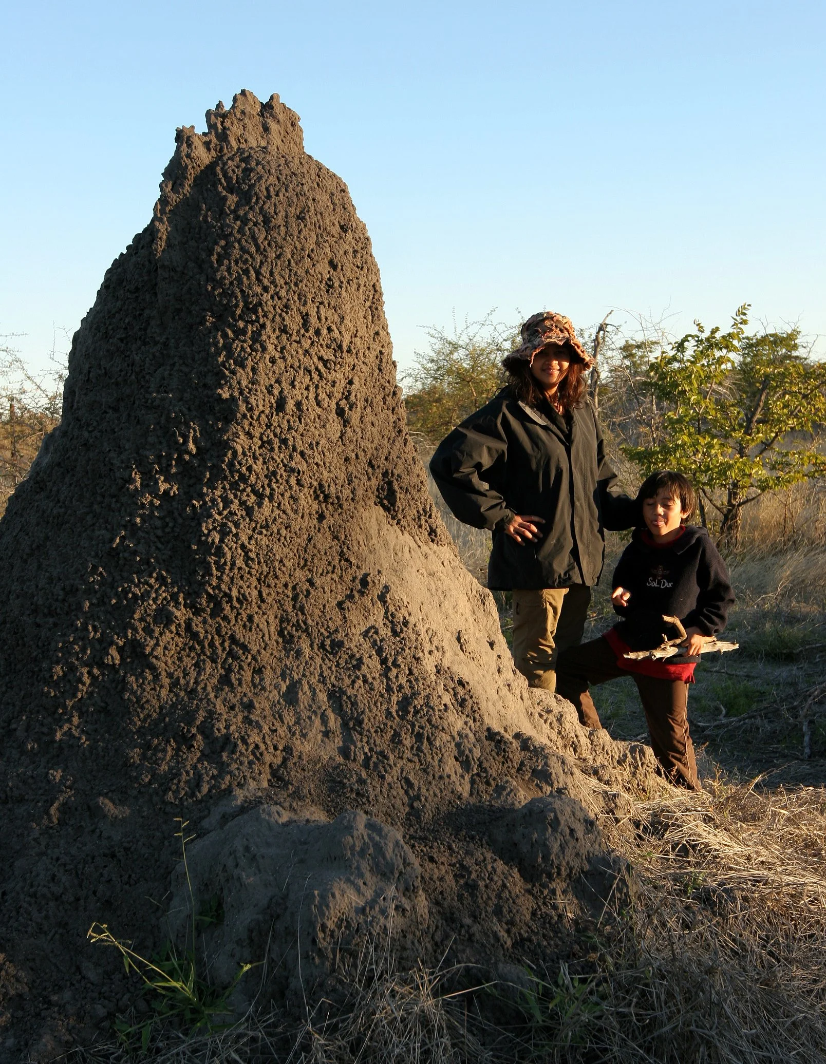 BOTSWANA -KALAHARI DESERT PLANET BAOBAB BOTSWANA (11).JPG