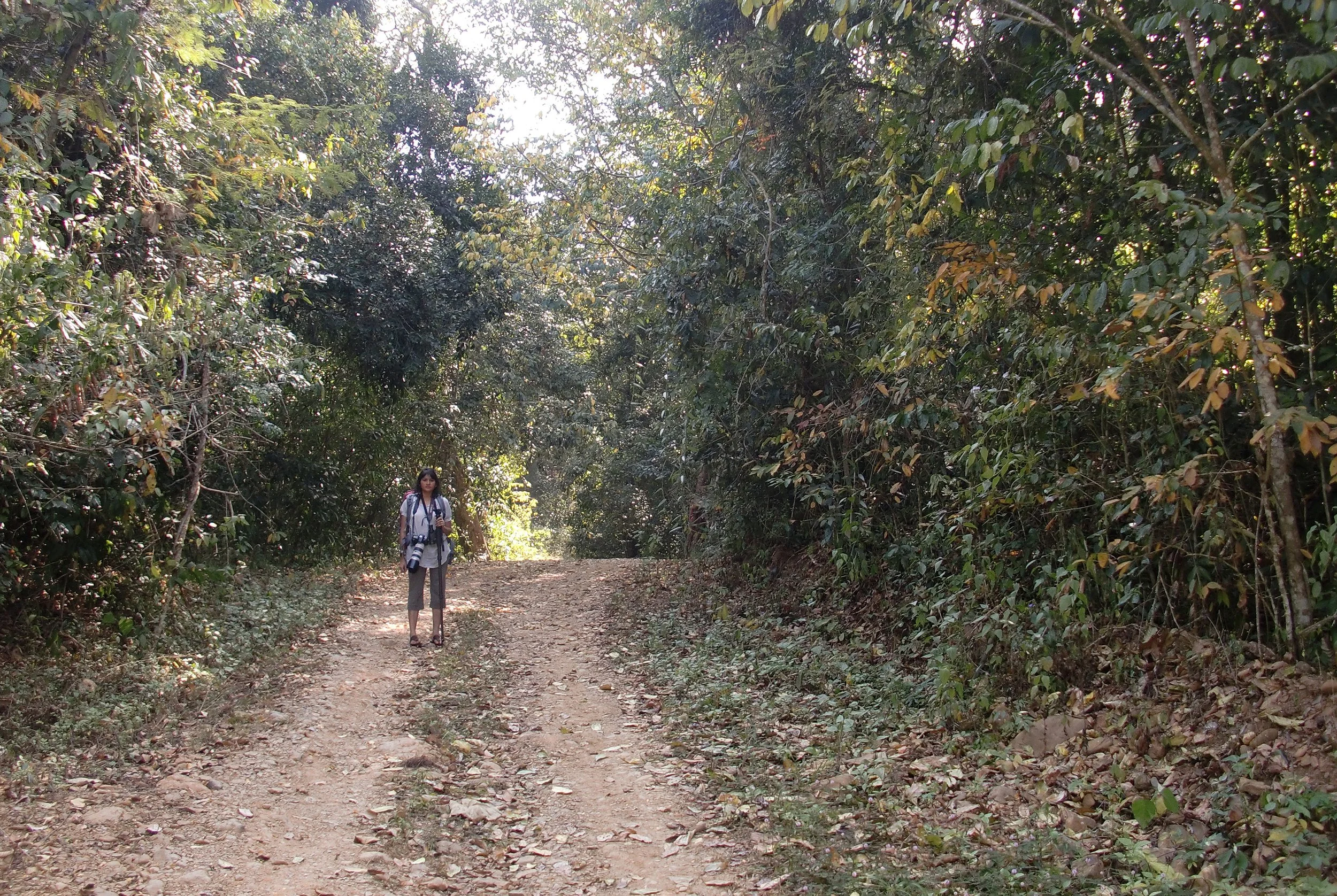 2008 Kaeng Krachan NP Trip with Cokie & Som (12).JPG
