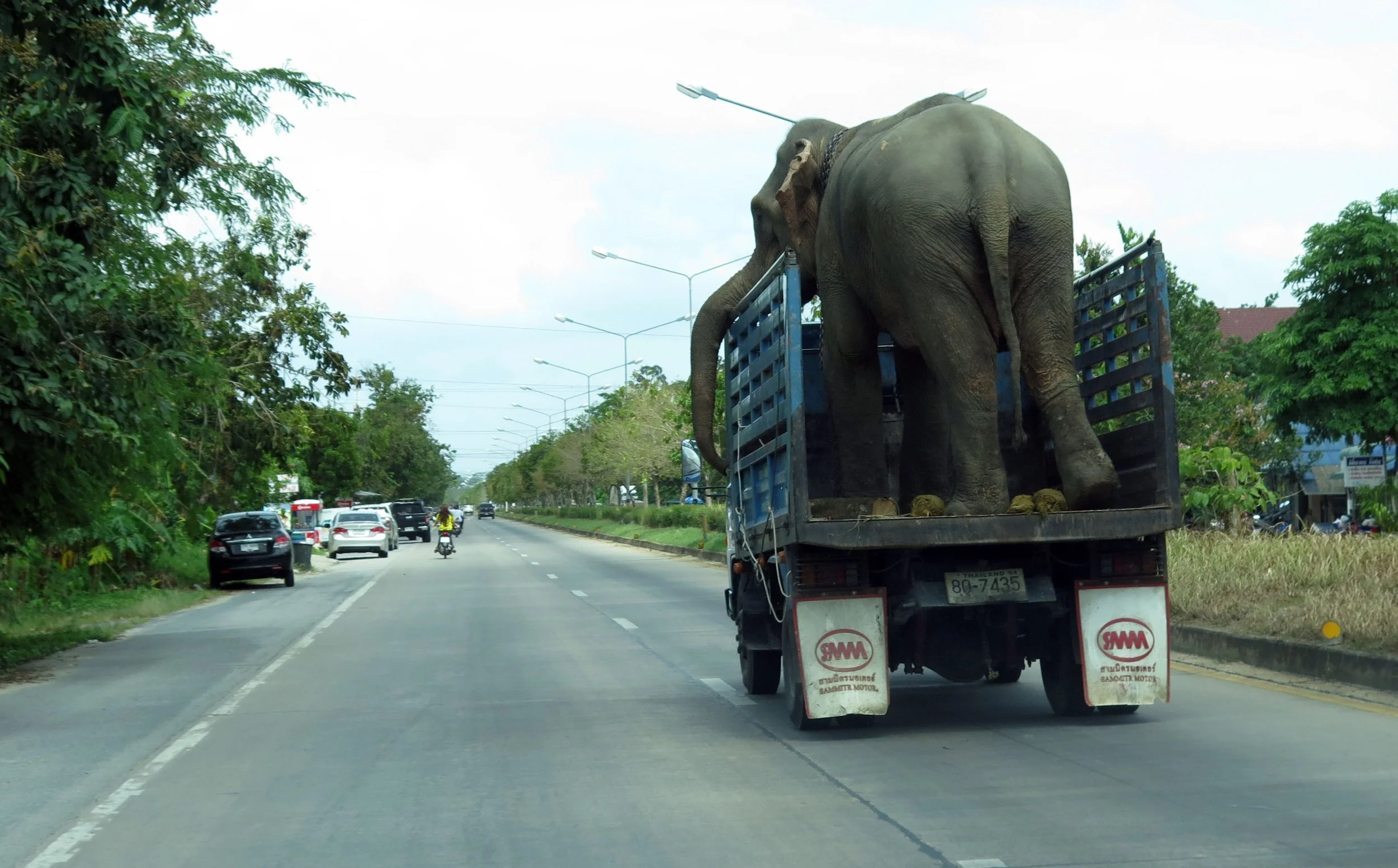 2014 Nakhonsithammarat with Family (78).JPG