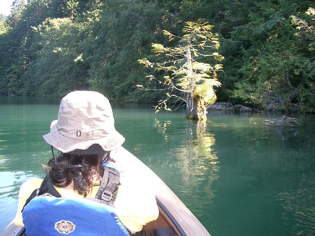 2004-8-19 DAY TRIP KAYAKING LAKE ALDWELL OP (2).JPG