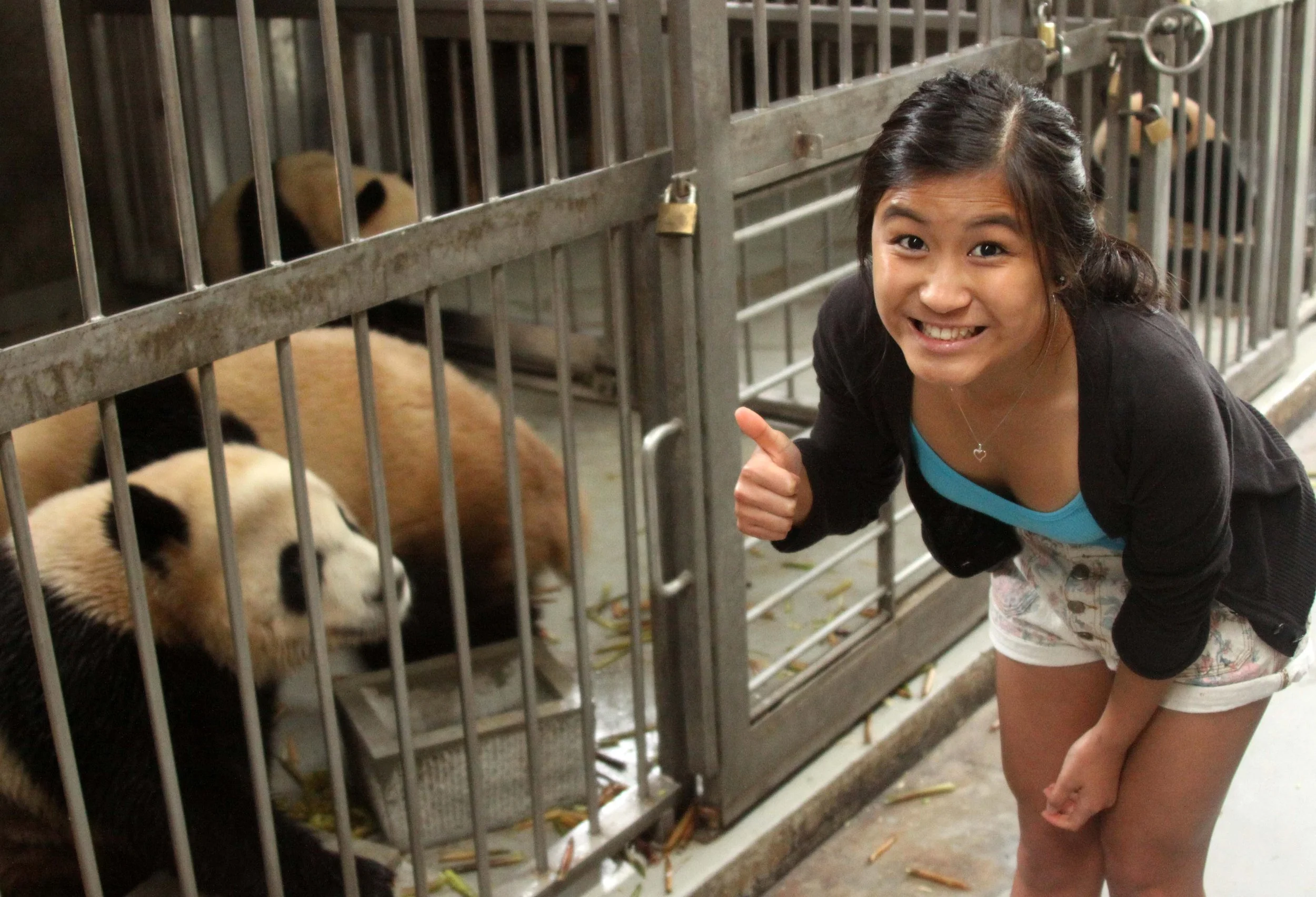 CHENGDU GIANT PANDA BREEDING CENTER - CHINA ALIVE 2011 (29).JPG
