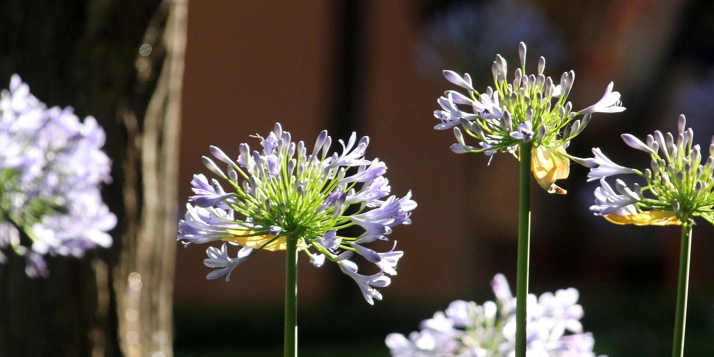 GRANADA SPAIN (55).JPG