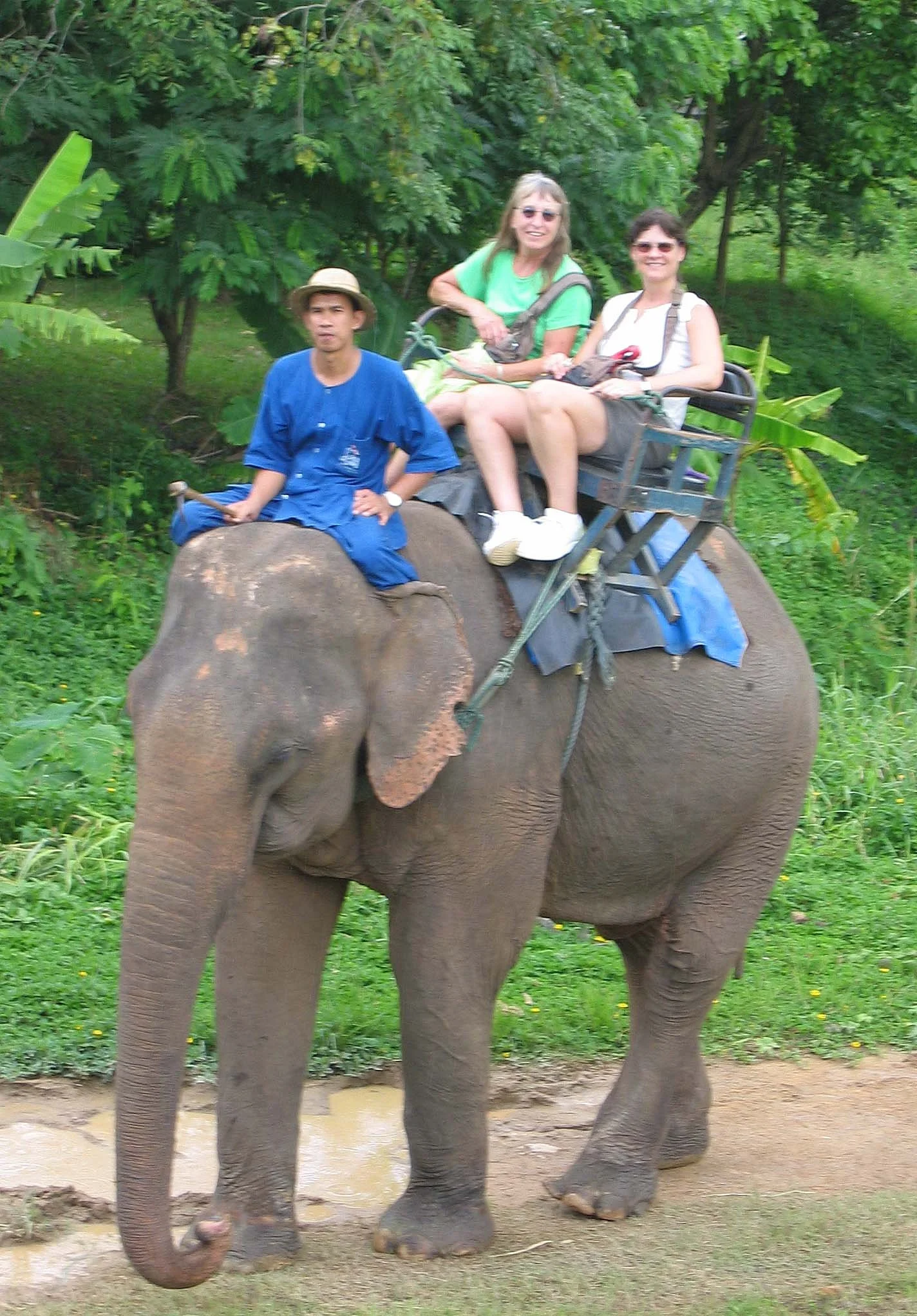 2008 Lampang City & Elephant Center (122).jpg