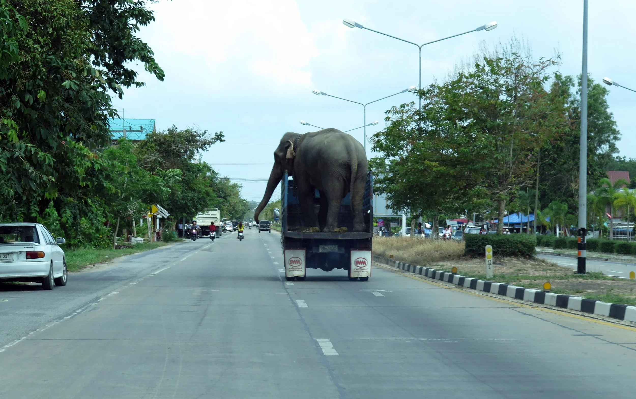 2014 Nakhonsithammarat with Family (77).JPG