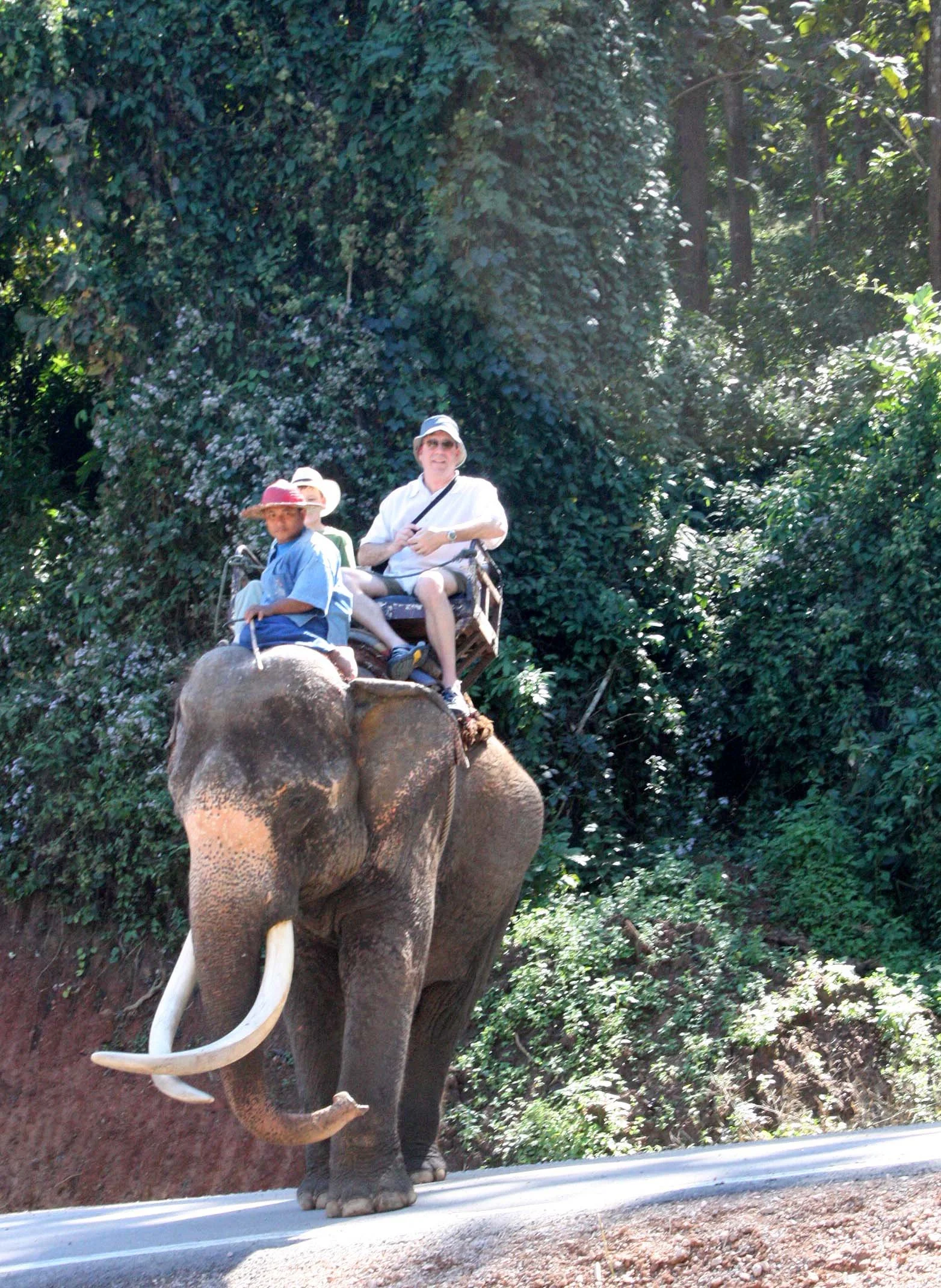 2008 Lampang City & Elephant Center (38).JPG