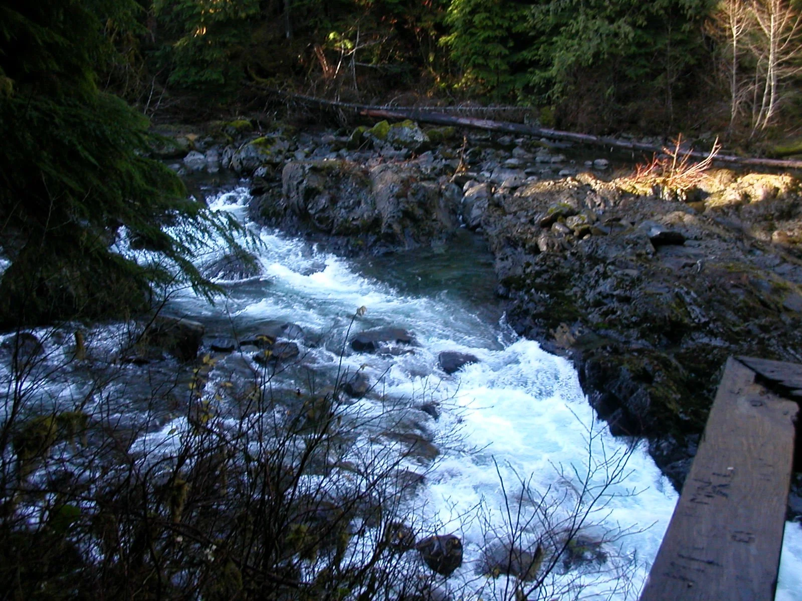 2003-11-28 THANKSGIVING IN LAKE FARM (26).JPG