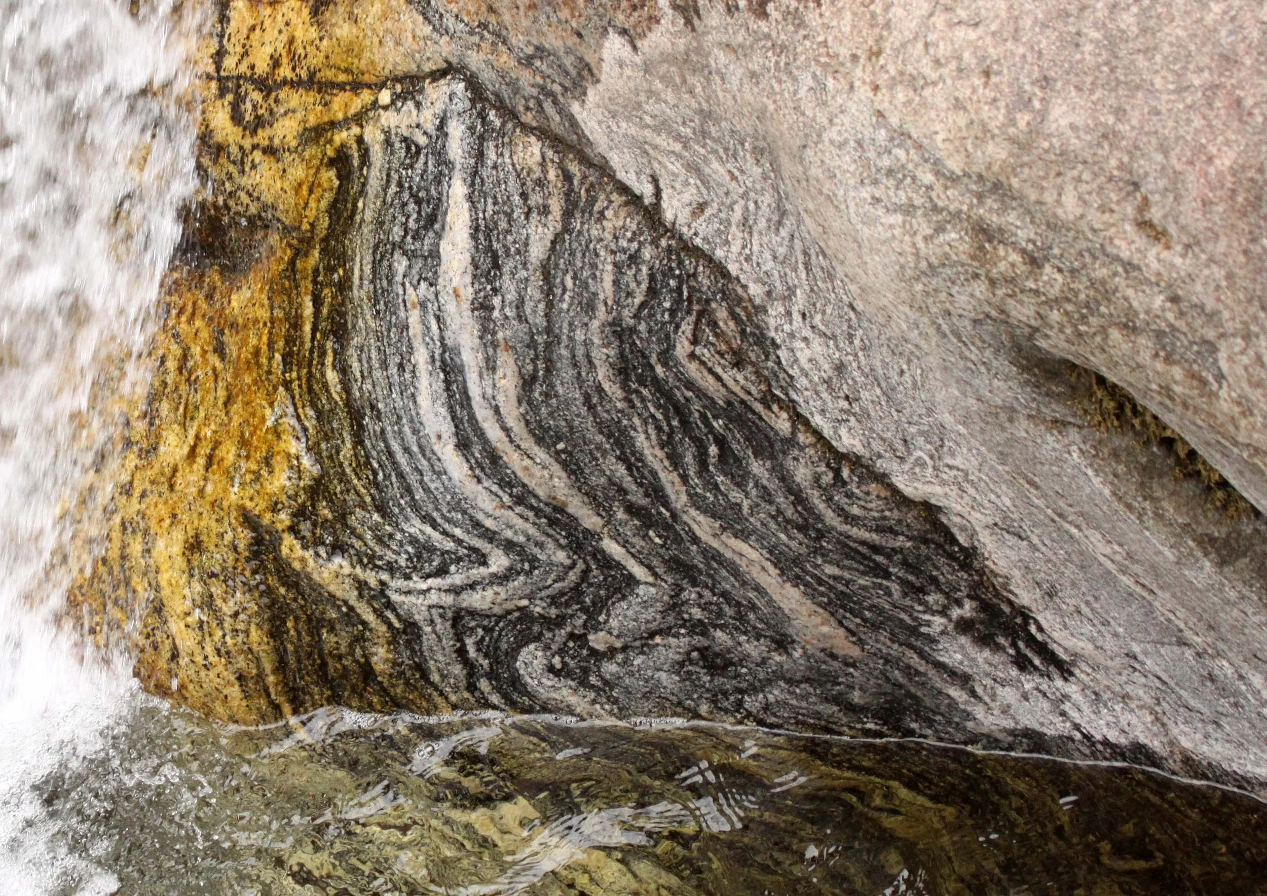 FOPING NATURE RESERVE - SHAANXI PROVINCE CHINA (119).JPG