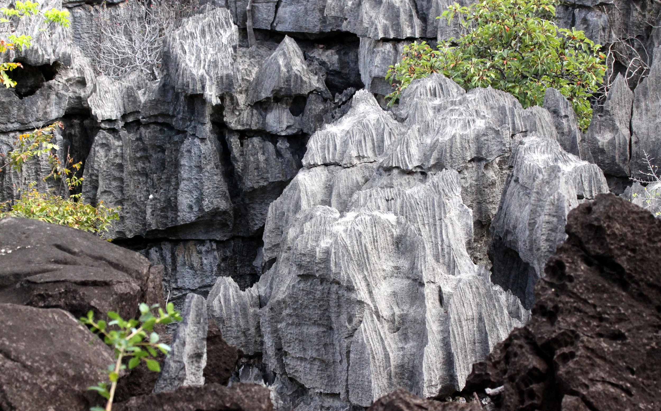 ANKARANA NATIONAL PARK MADAGASCAR - TSINGY FOREST (59).JPG