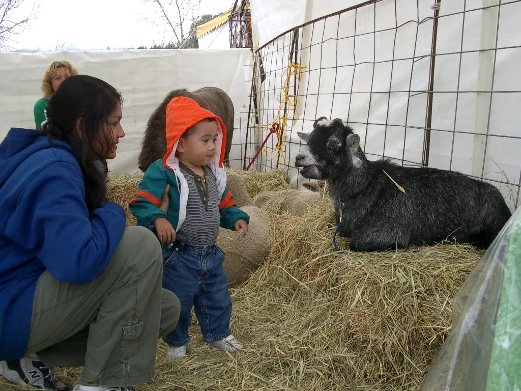 2003-10-12 CRAB FEST CRITTERS (5).JPG