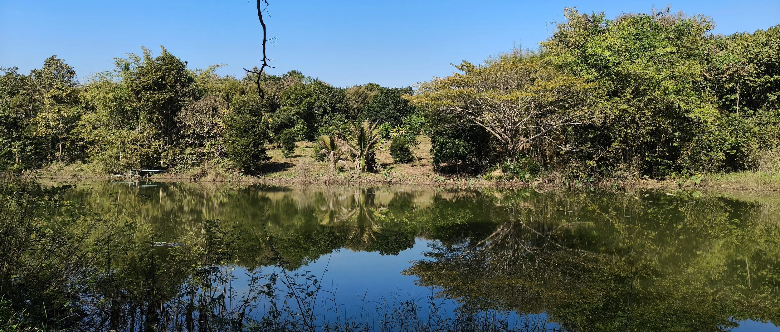 Ngao Durian Farm January 1 2026 (31).jpg