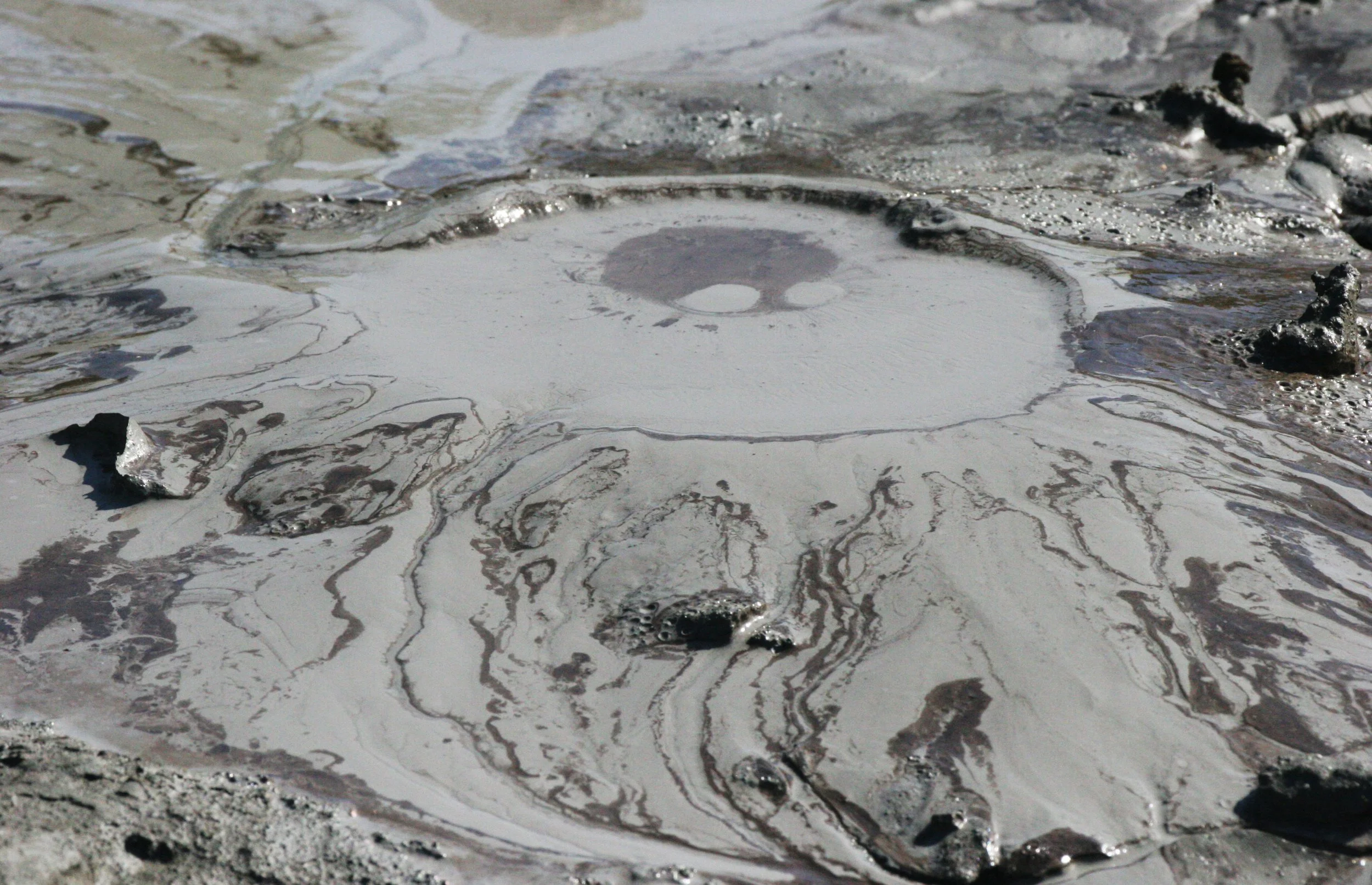TABIN WILDLIFE RESERVE BORNEO - MUD VOLCANOES (25).JPG