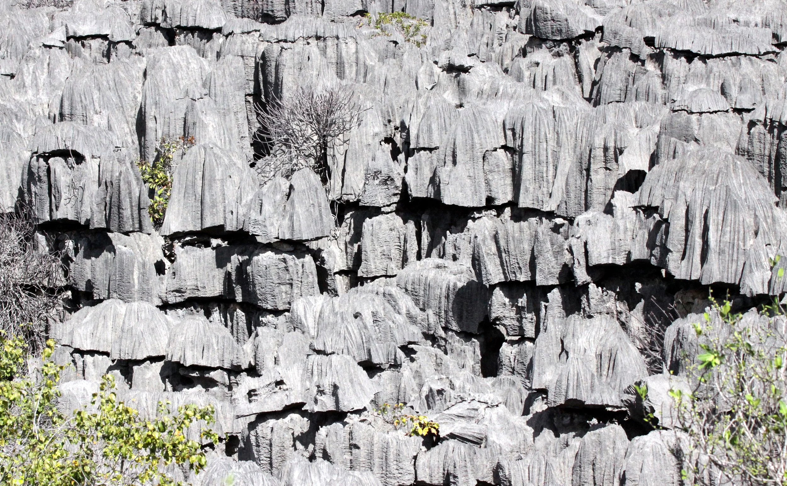 ANKARANA NATIONAL PARK MADAGASCAR - TSINGY FOREST (21).JPG