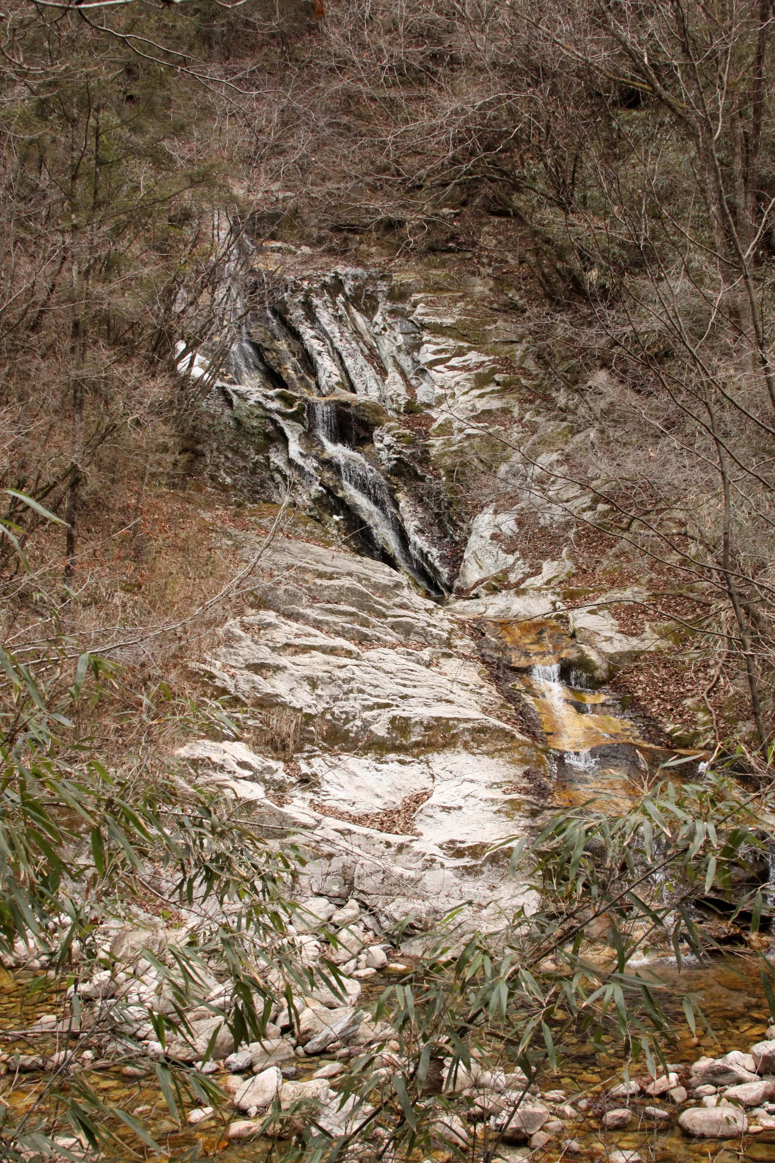 FOPING NATURE RESERVE - SHAANXI PROVINCE CHINA (153).JPG
