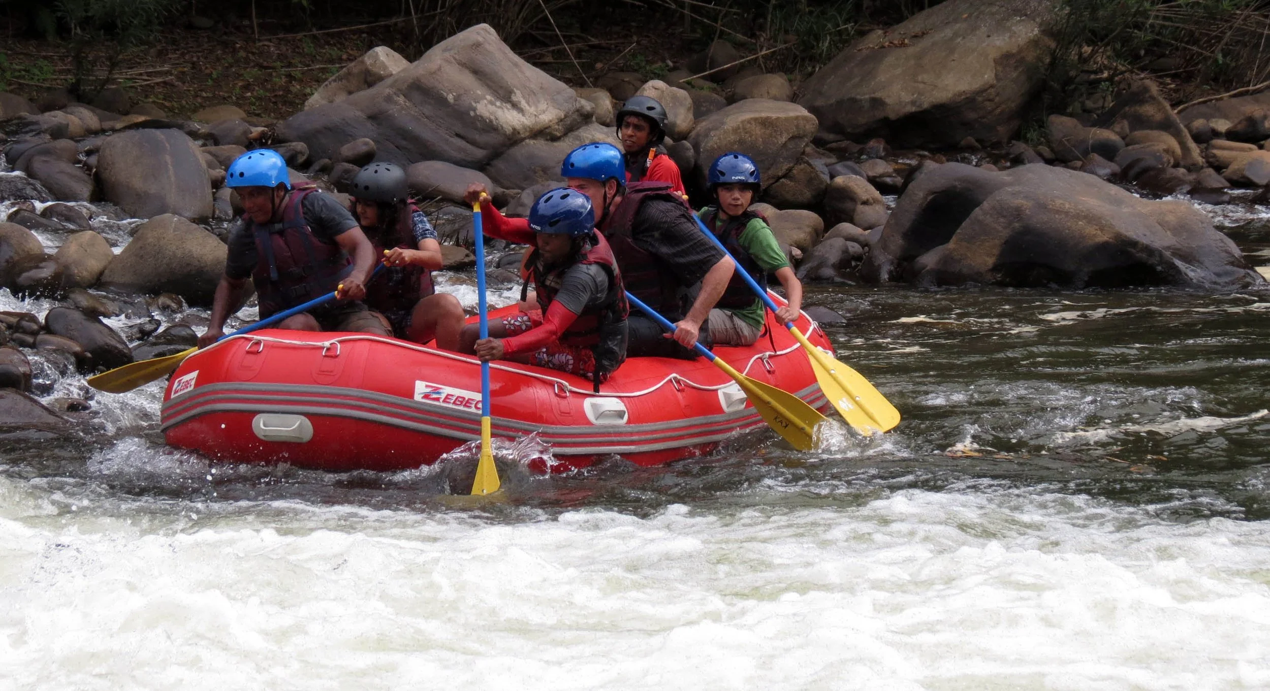 KITULGALA FOREST PRESERVE SRI LANKA (54).JPG