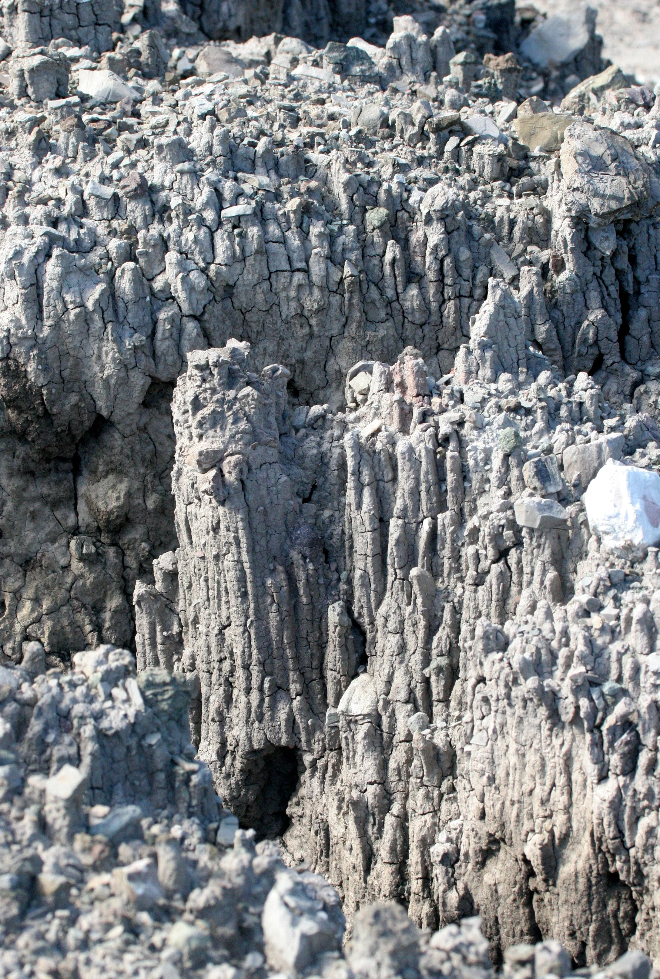 TABIN WILDLIFE RESERVE BORNEO - MUD VOLCANOES (7).JPG