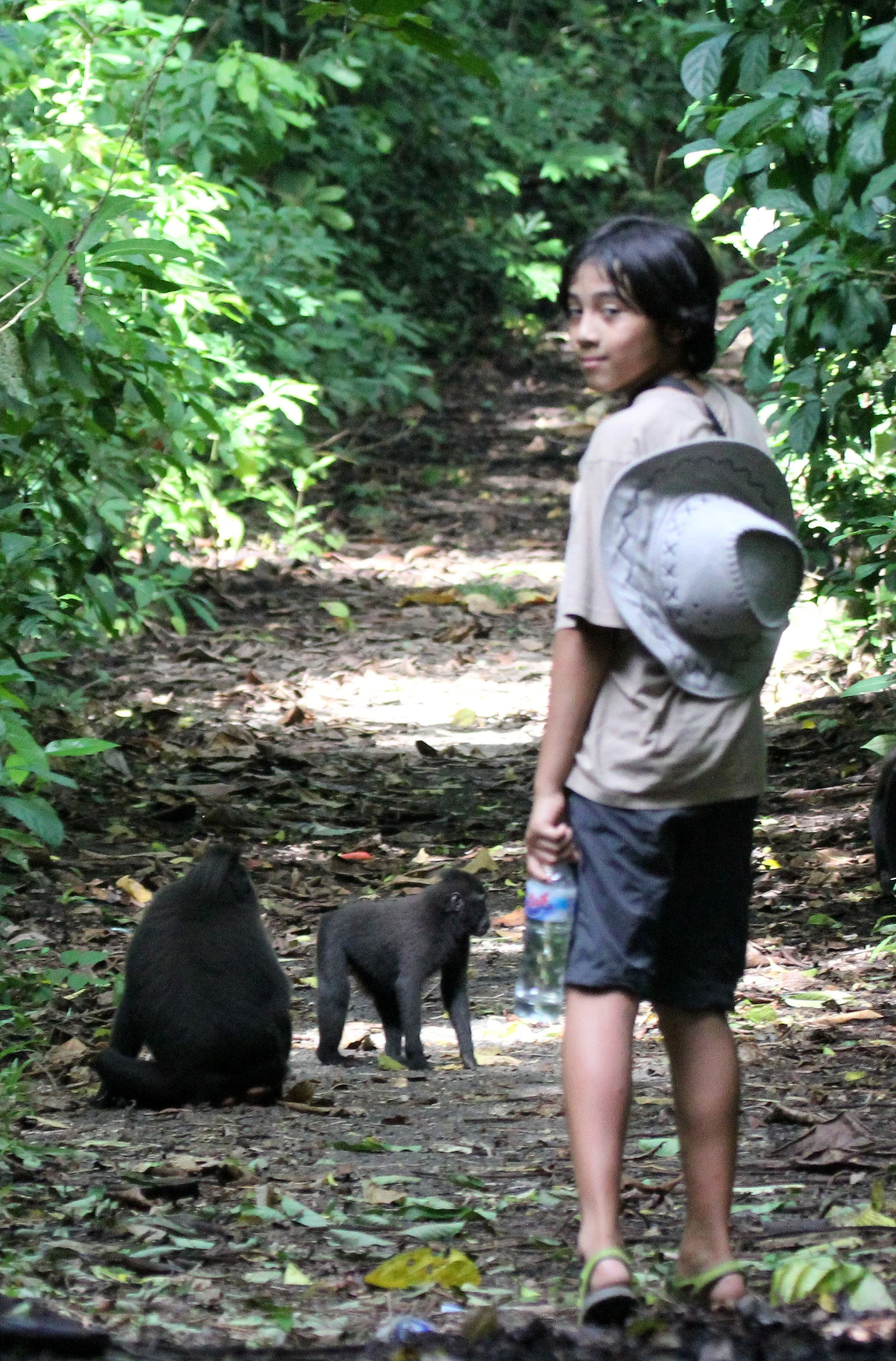 TANGKOKO NATIONAL PARK SULAWESI INDONESIA (15).JPG