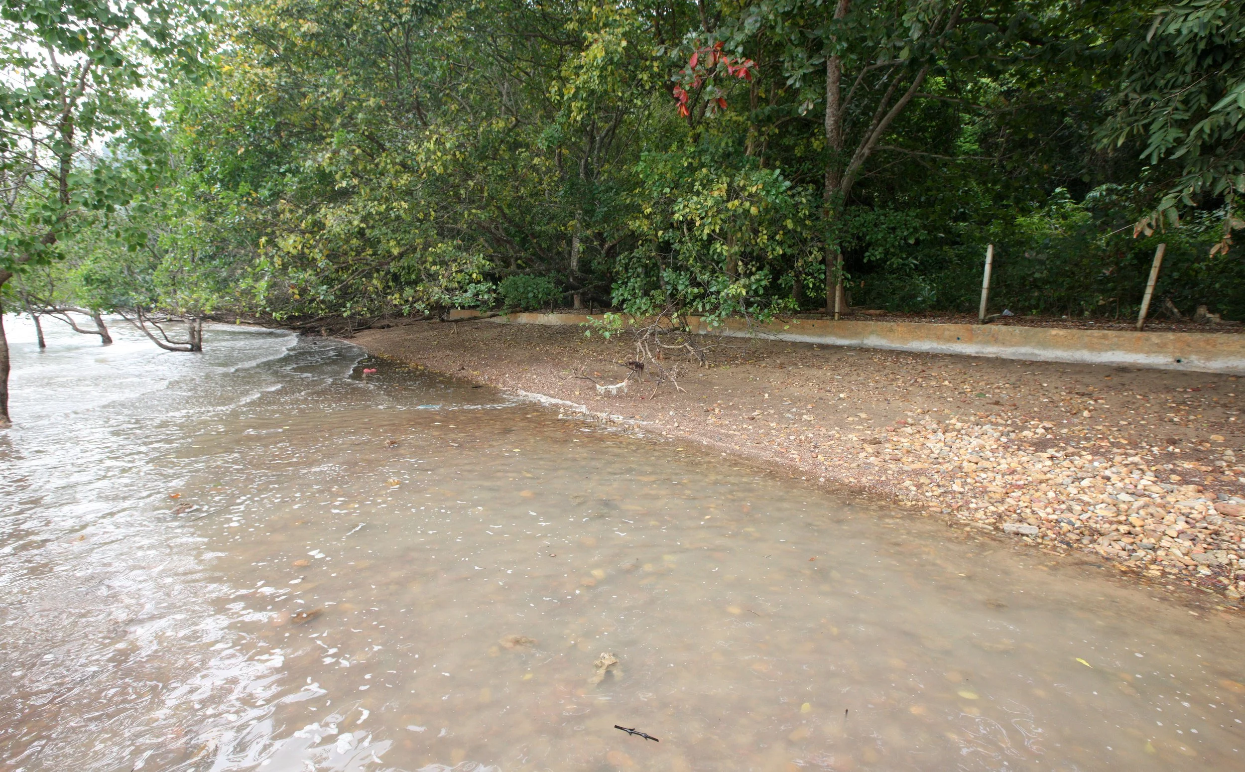 LANTA ISLAND - OUR PROPERTY - WINTER 2011 (22).JPG