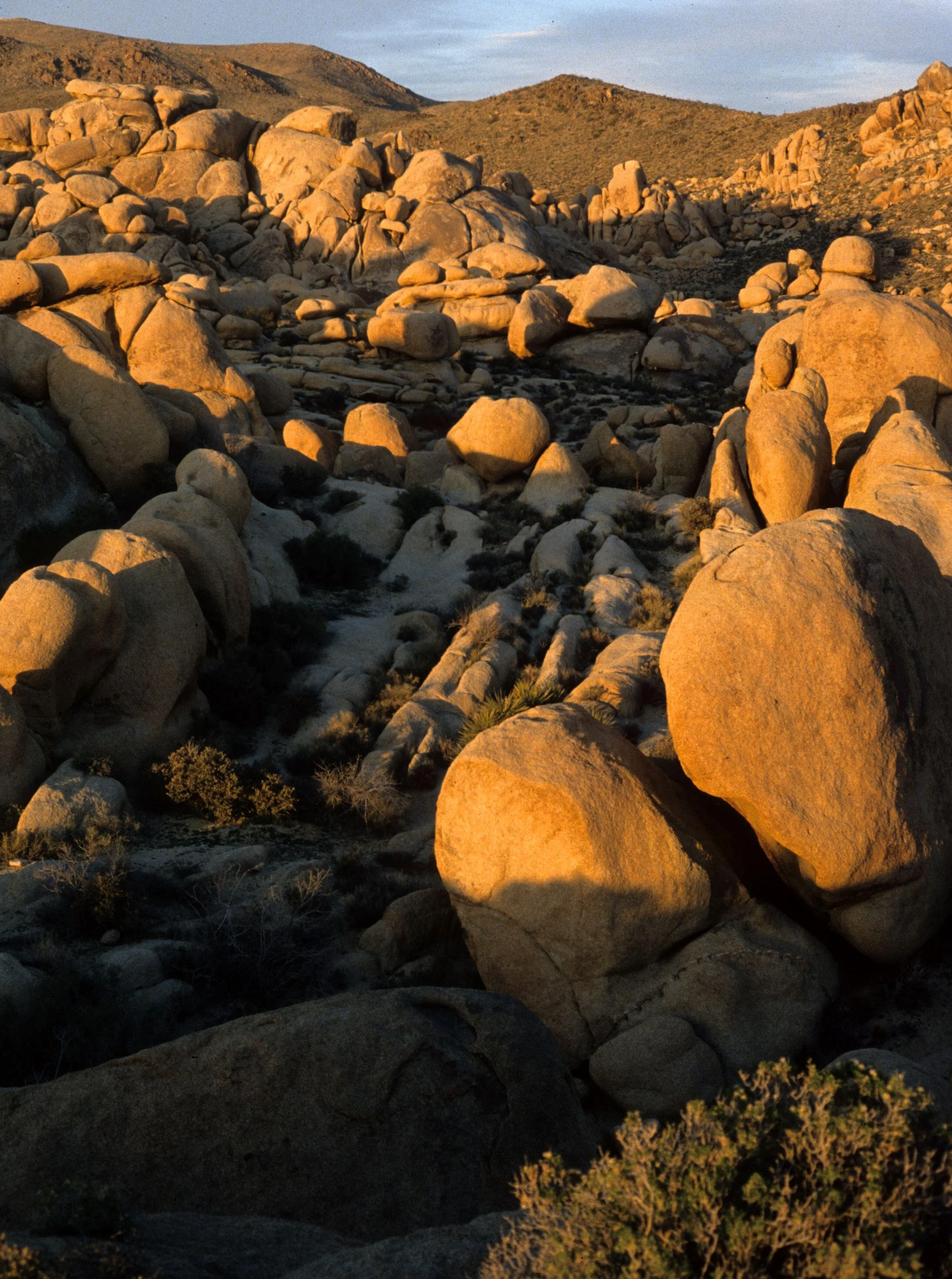 JOSHUA TREE - INSELBERGS D.jpg