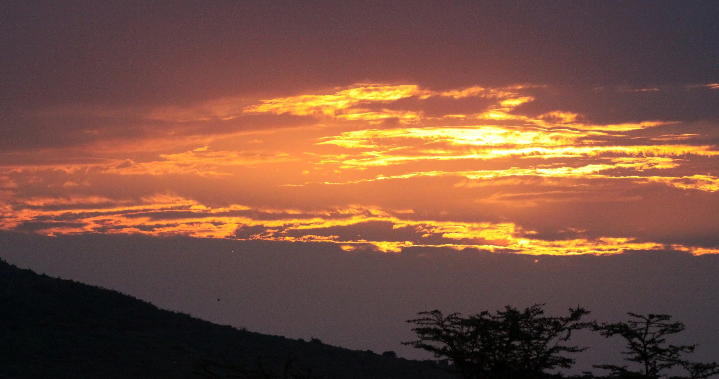 MASAI MARA NATIONAL PARK KENYA (231).JPG