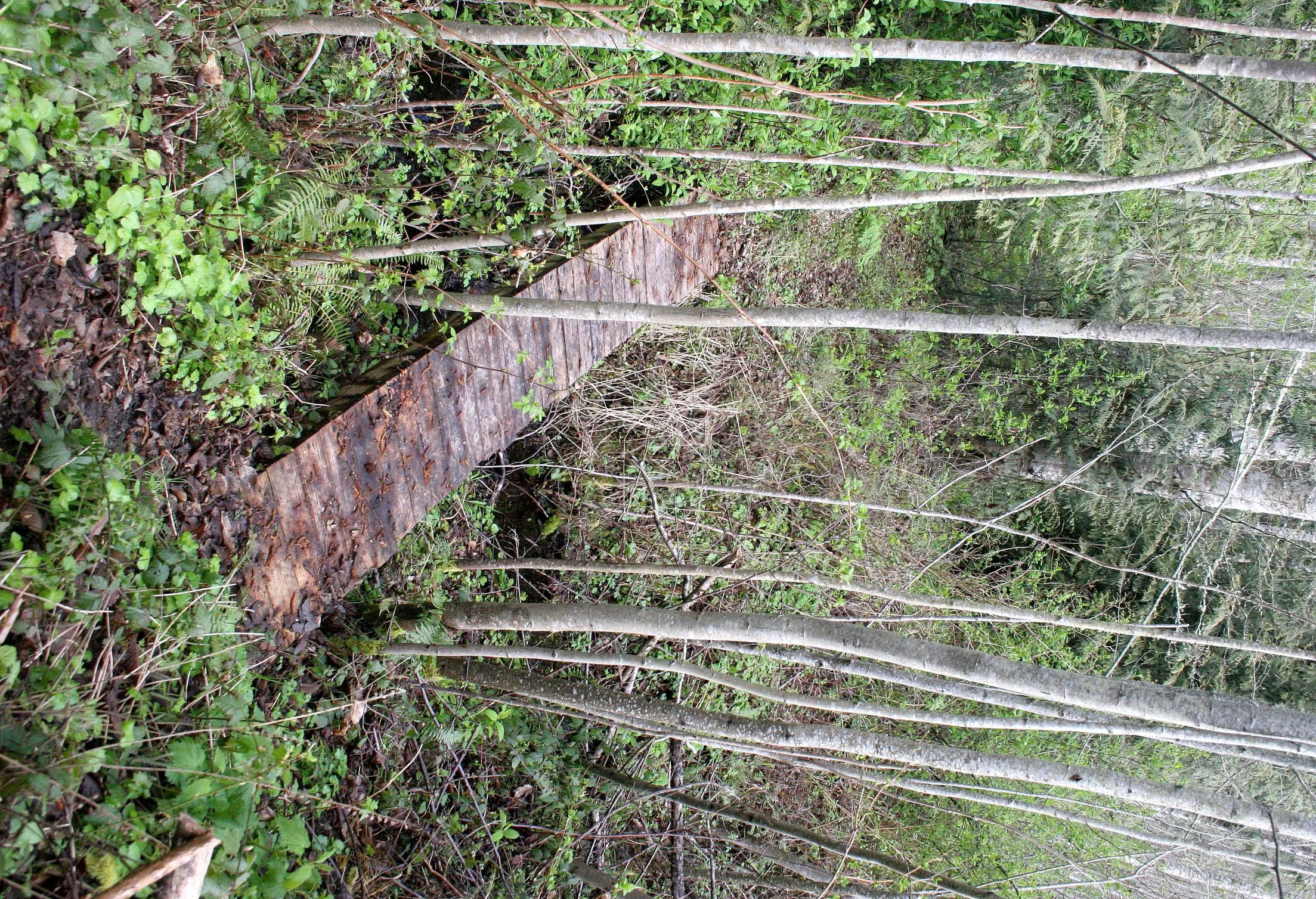 2008-4-19 LAKE FARM TRAILS STROLL (11).JPG